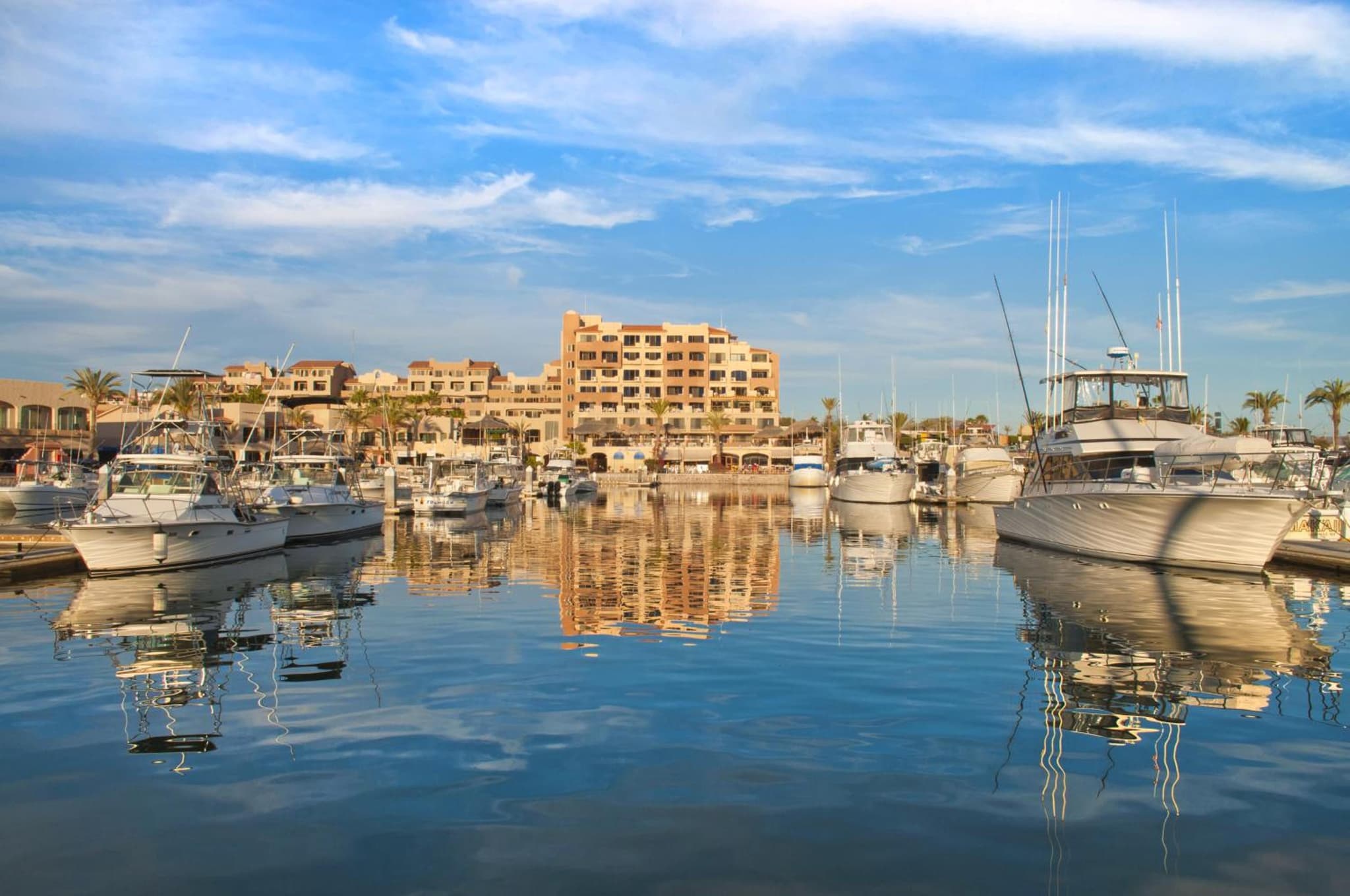 Marinaterra Hotel & Spa photo 3