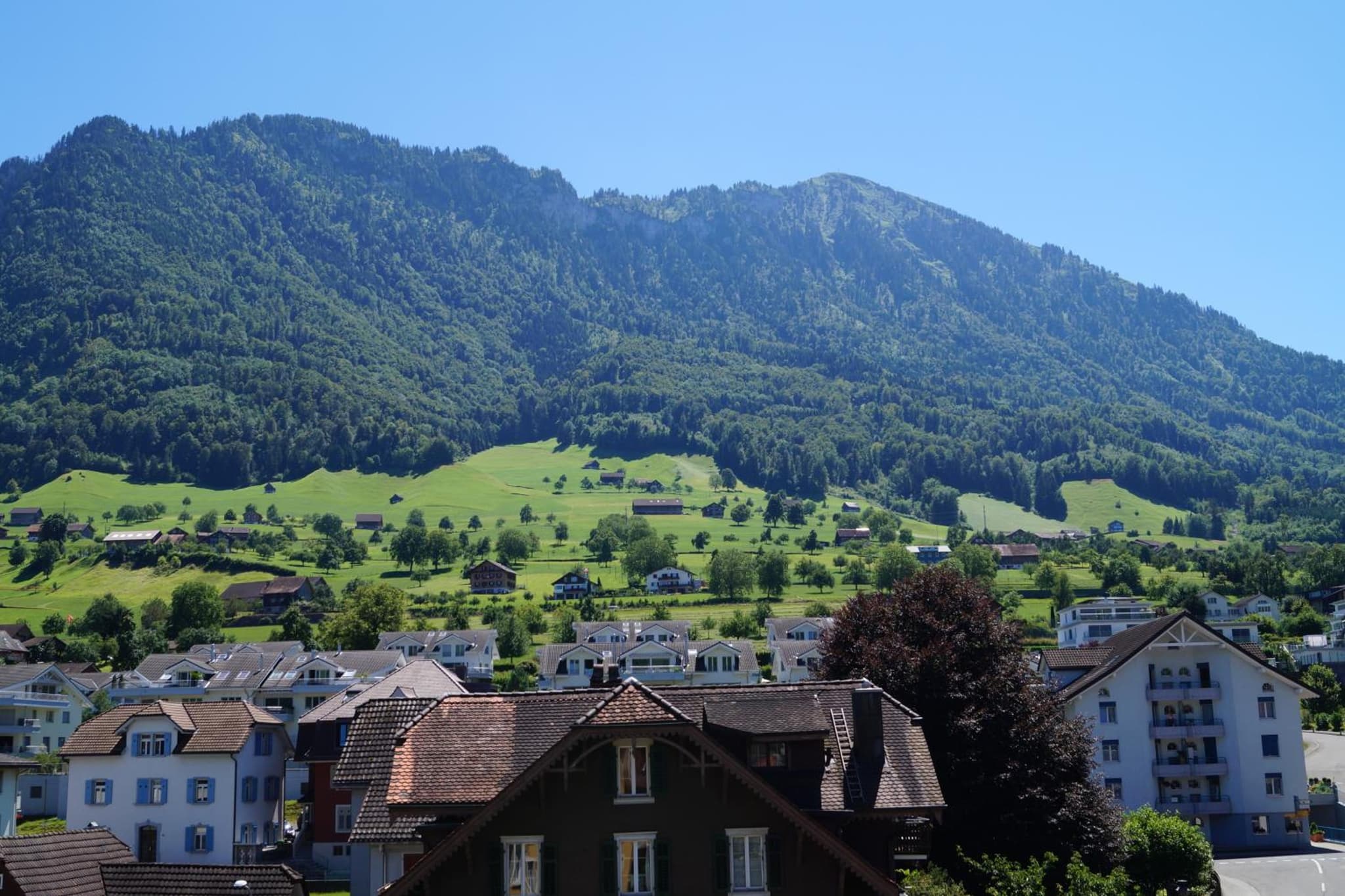 Rigiblick am See photo 9