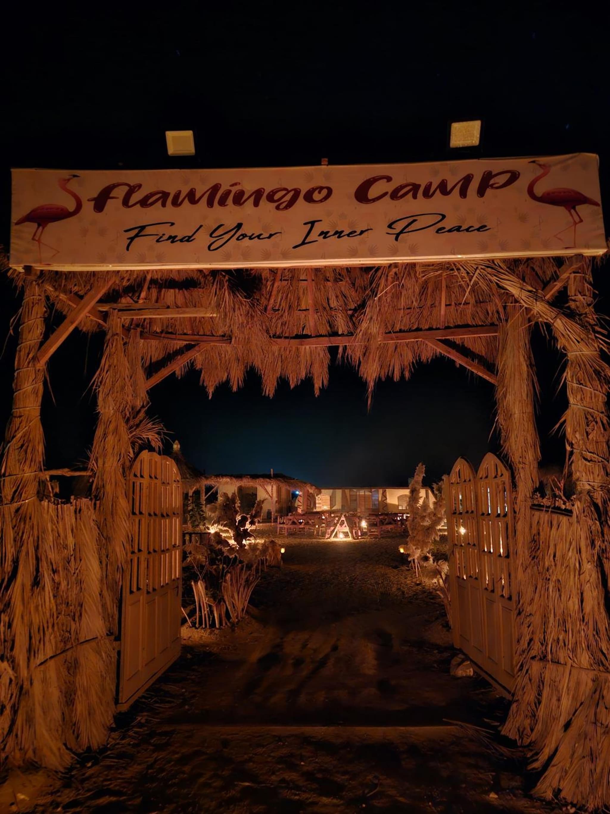 flamingo camp