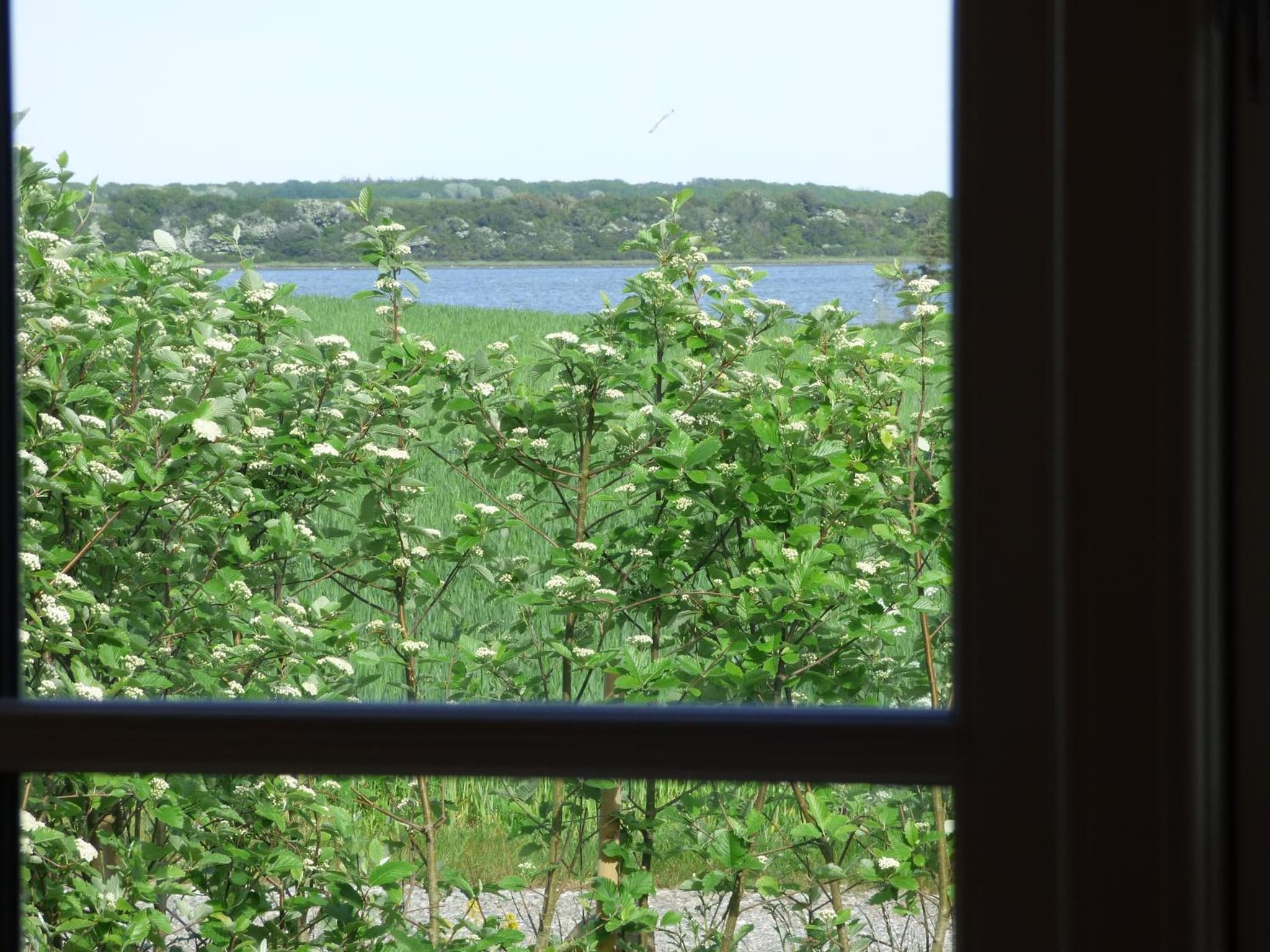 Klintgarden photo 2