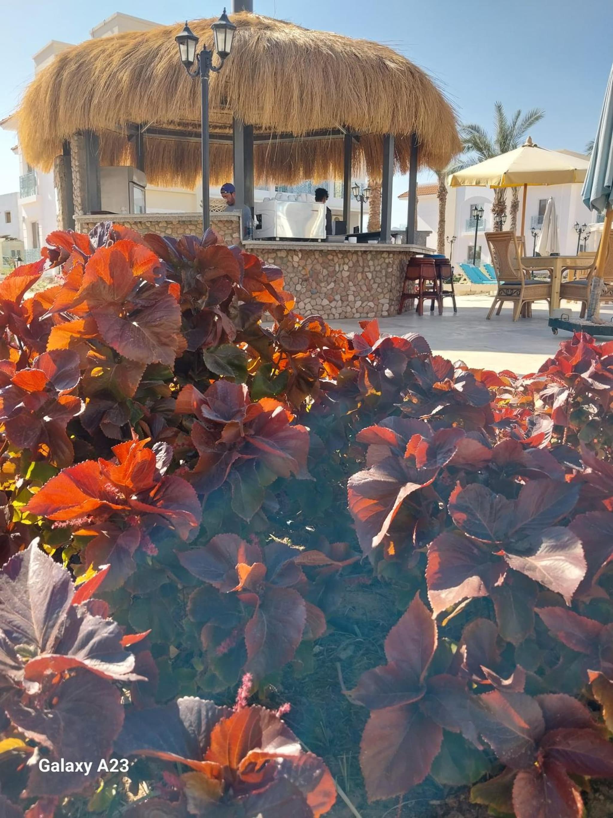 Blue Residence Dahab photo 2