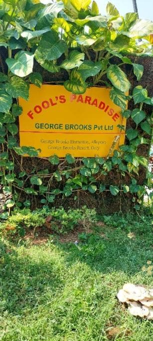 Fool's Paradise Homestay photo 2