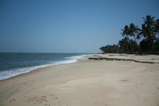 Fool's Paradise Homestay photo 5