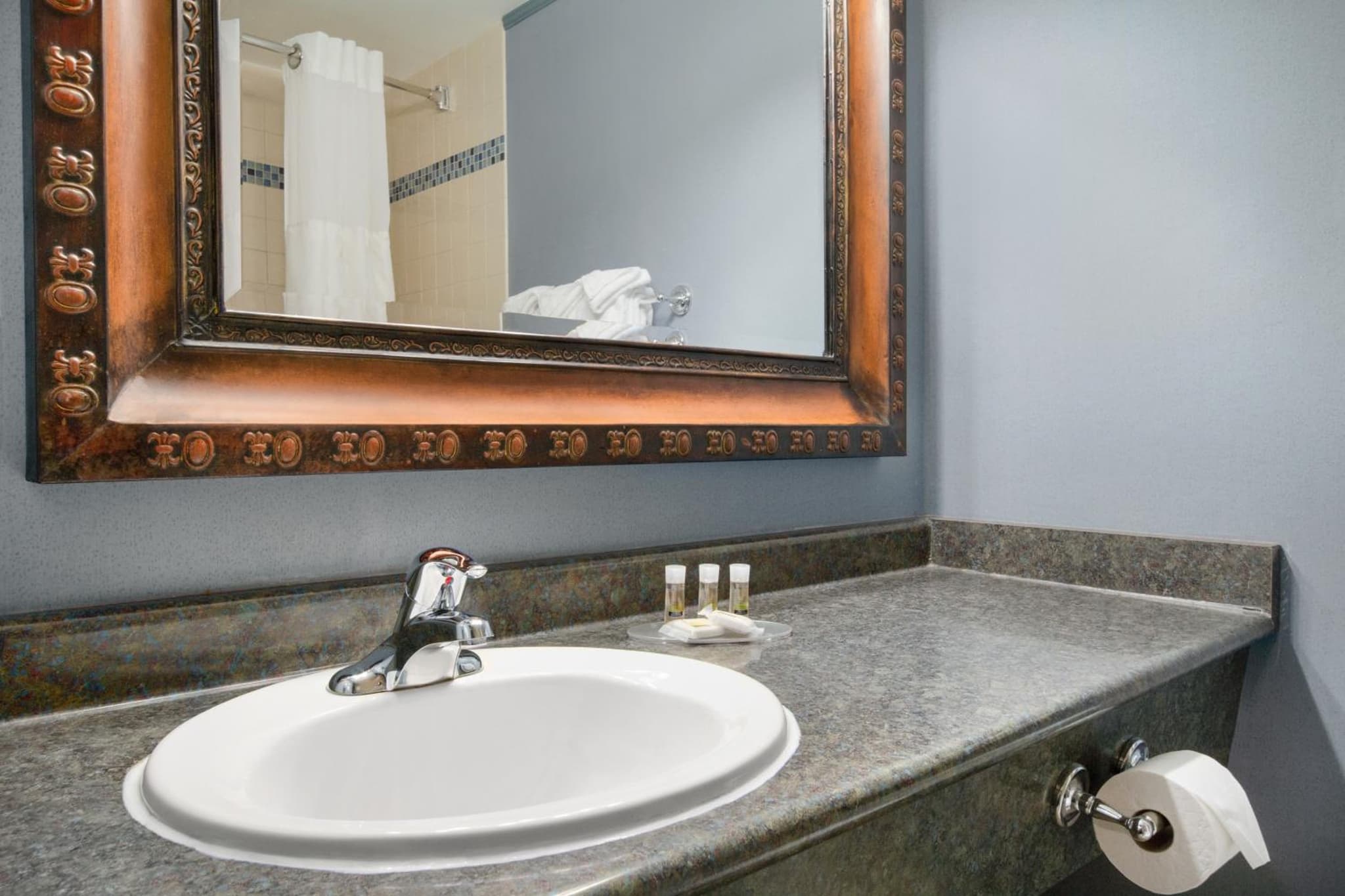 Quality Inn & Suites photo 9