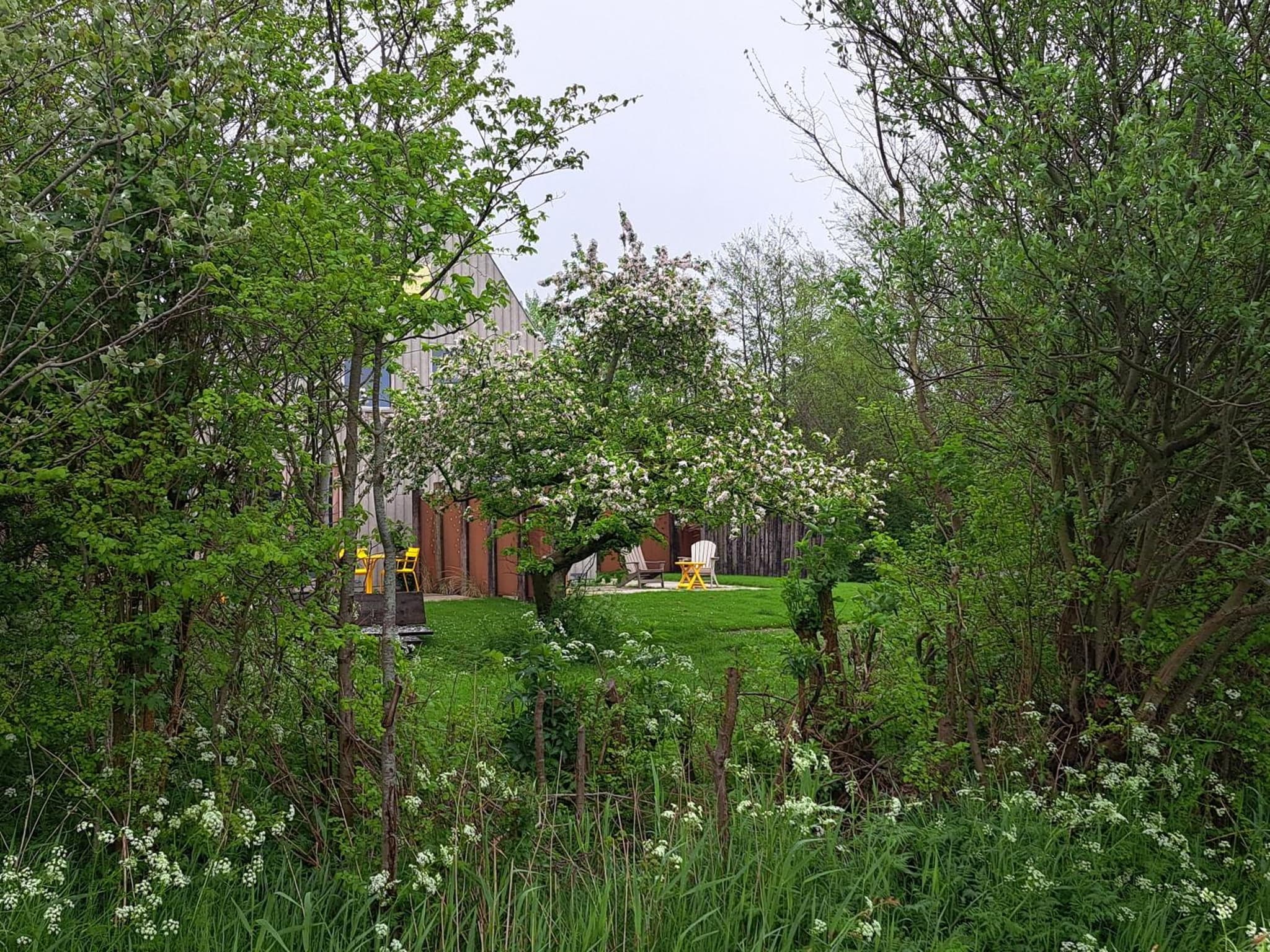 Silver Garden photo 8