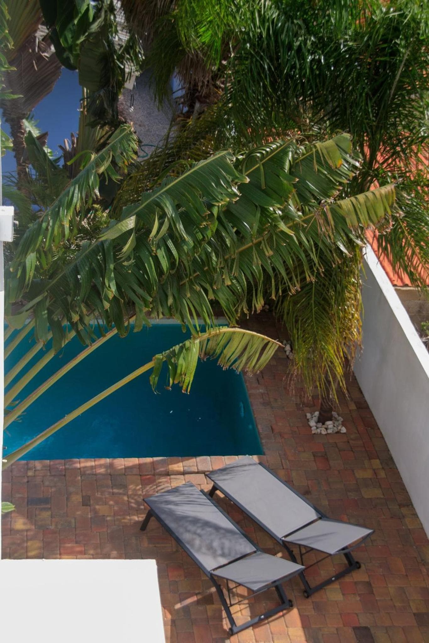 MAJOR. Suites Curaçao photo 6