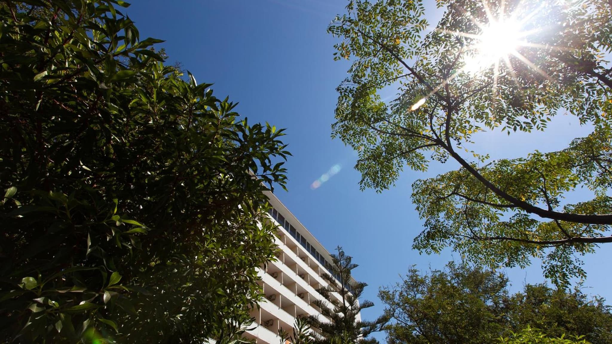 Carcavelos Beach Hotel photo 4