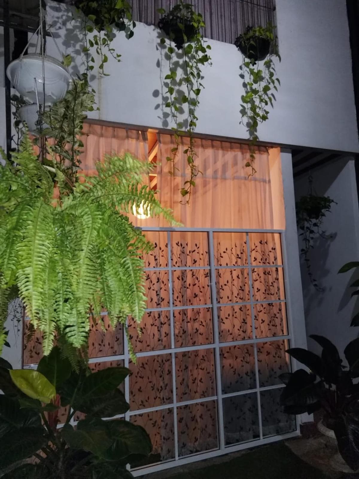 Bloo Ivy-Peradeniya