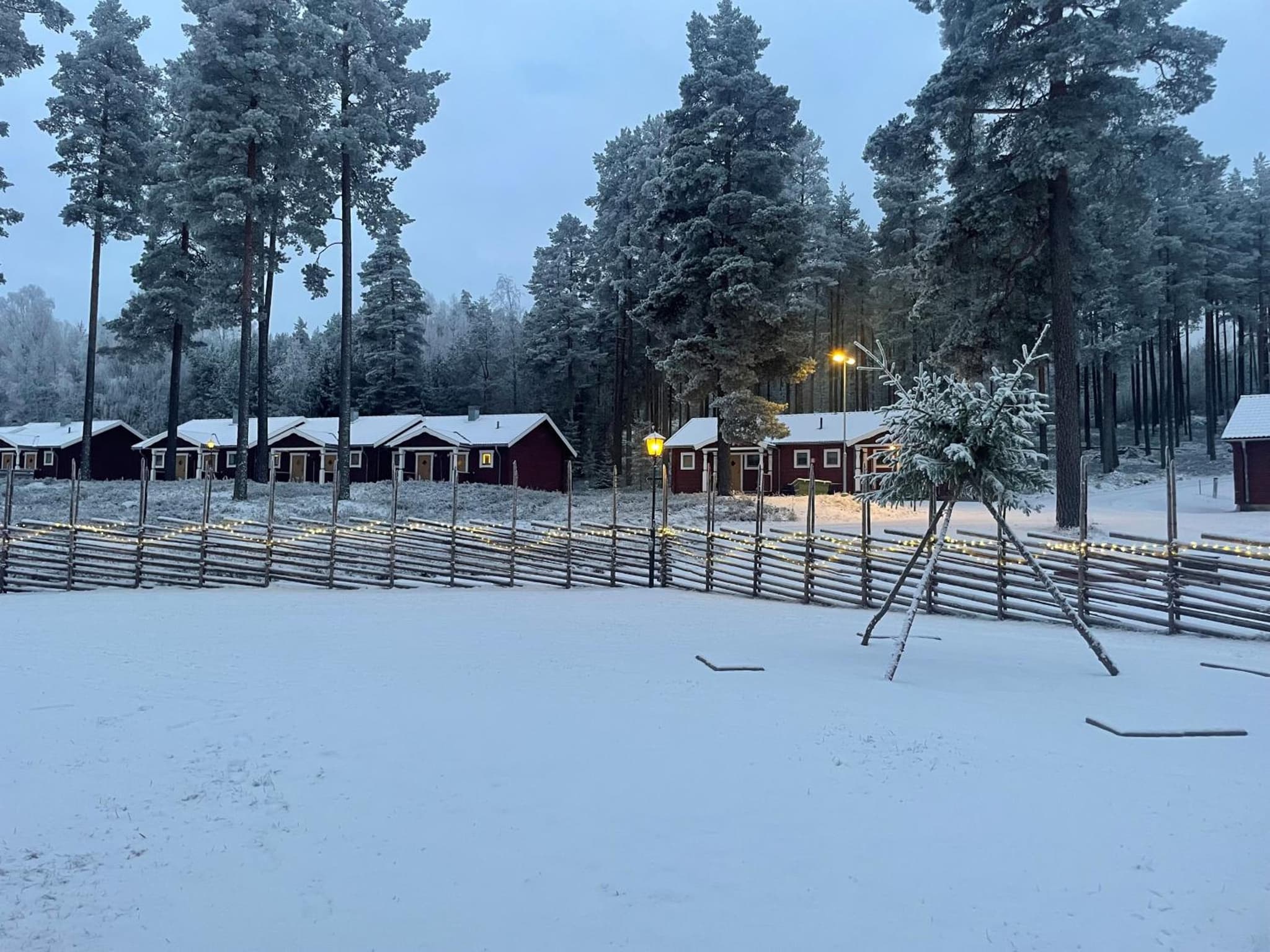 Hotell Moskogen photo 4