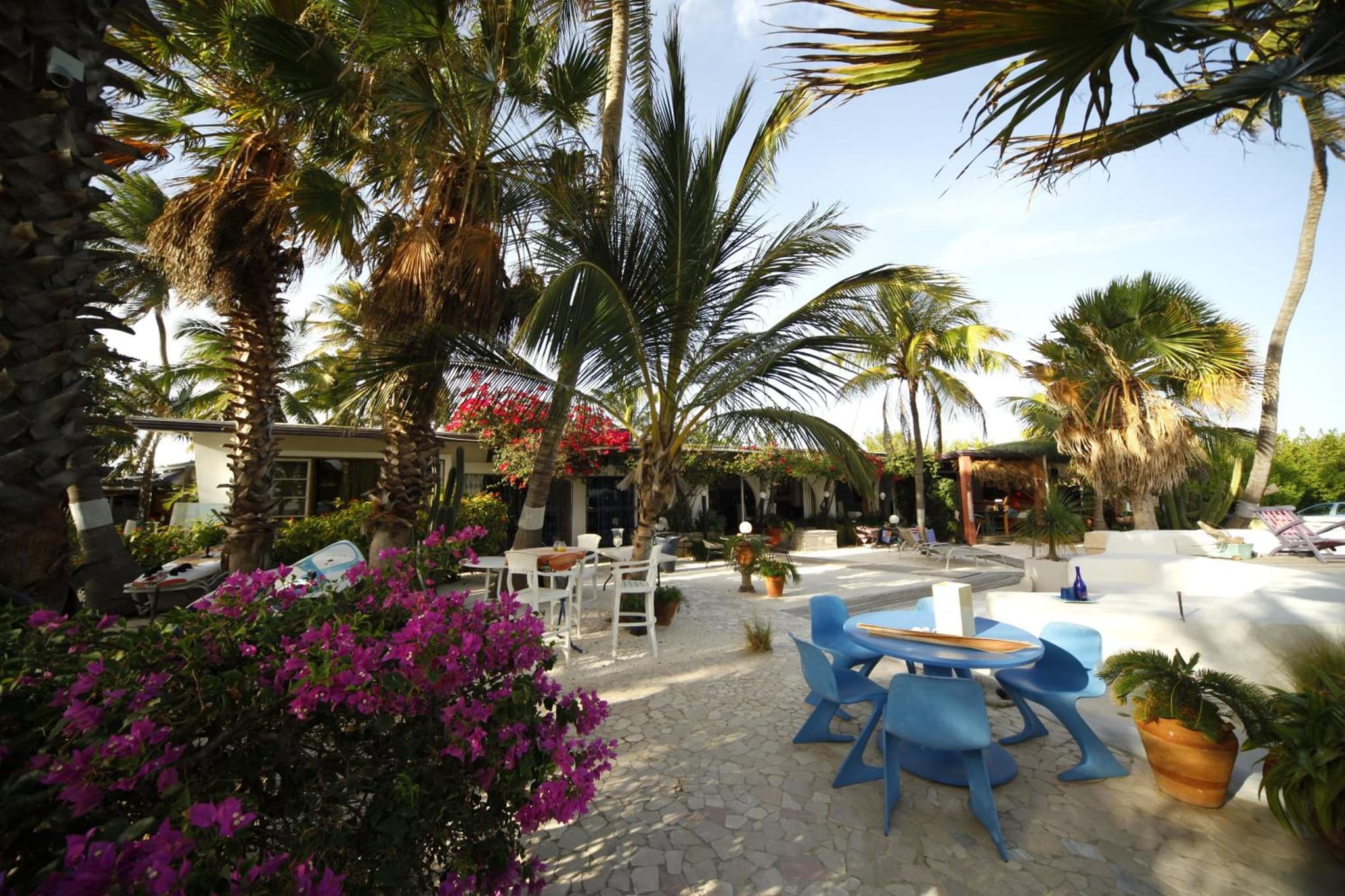 Beach House Aruba Apartments photo 5
