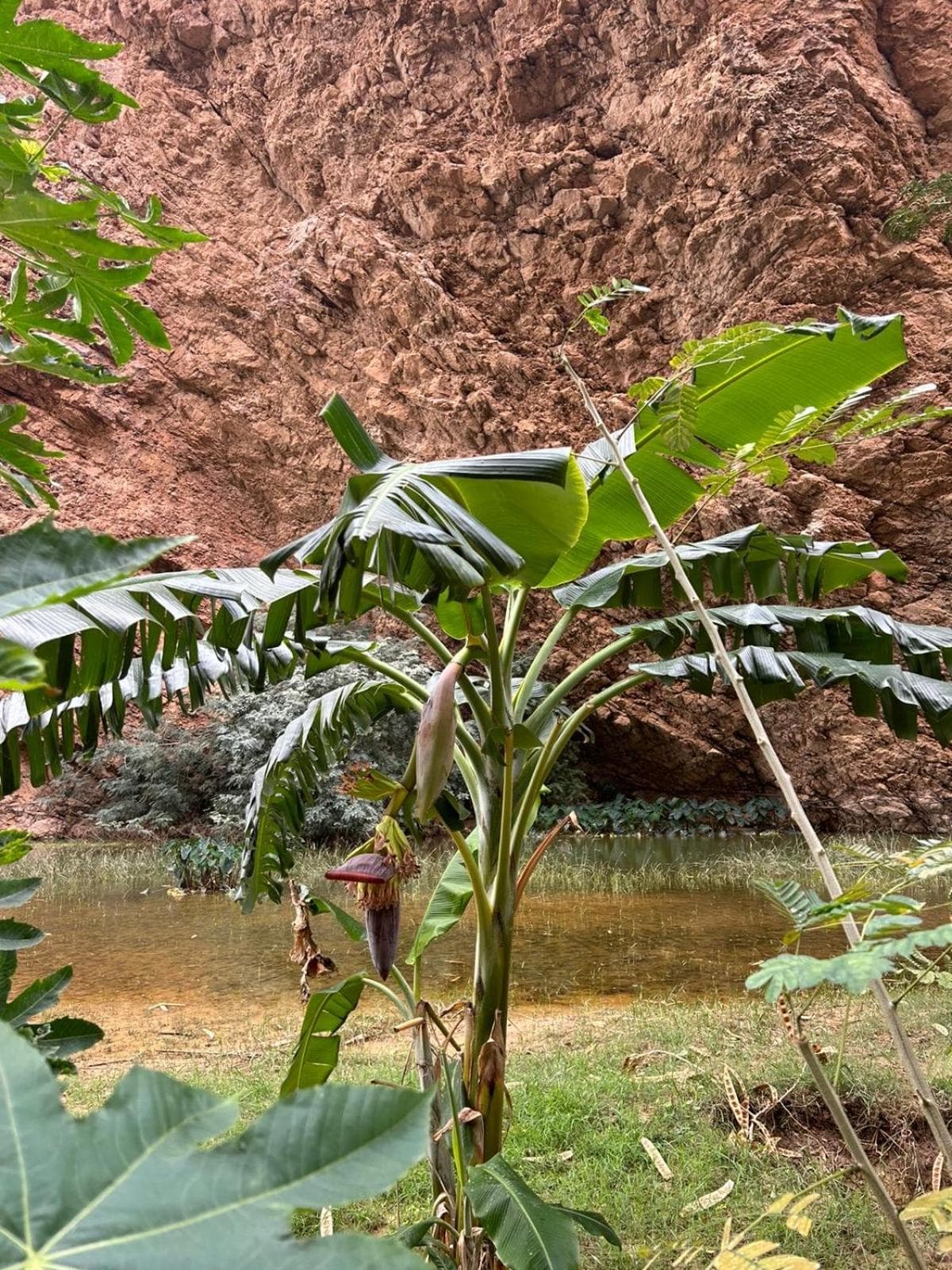 Atlas Wadi Shab photo 6