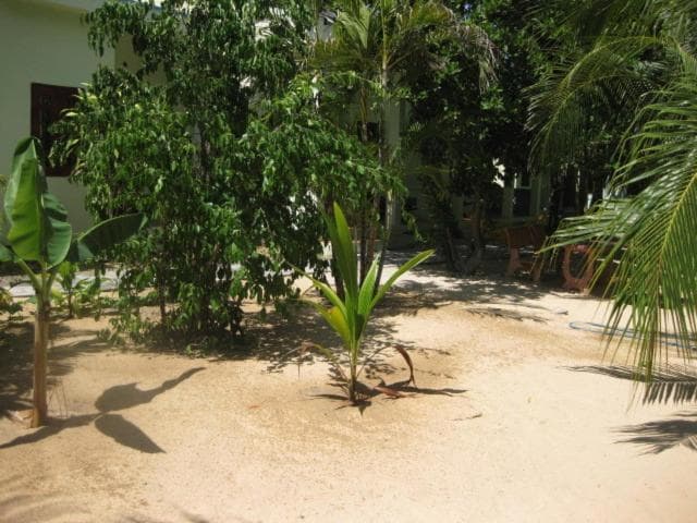 Cocosand Hotel photo 6