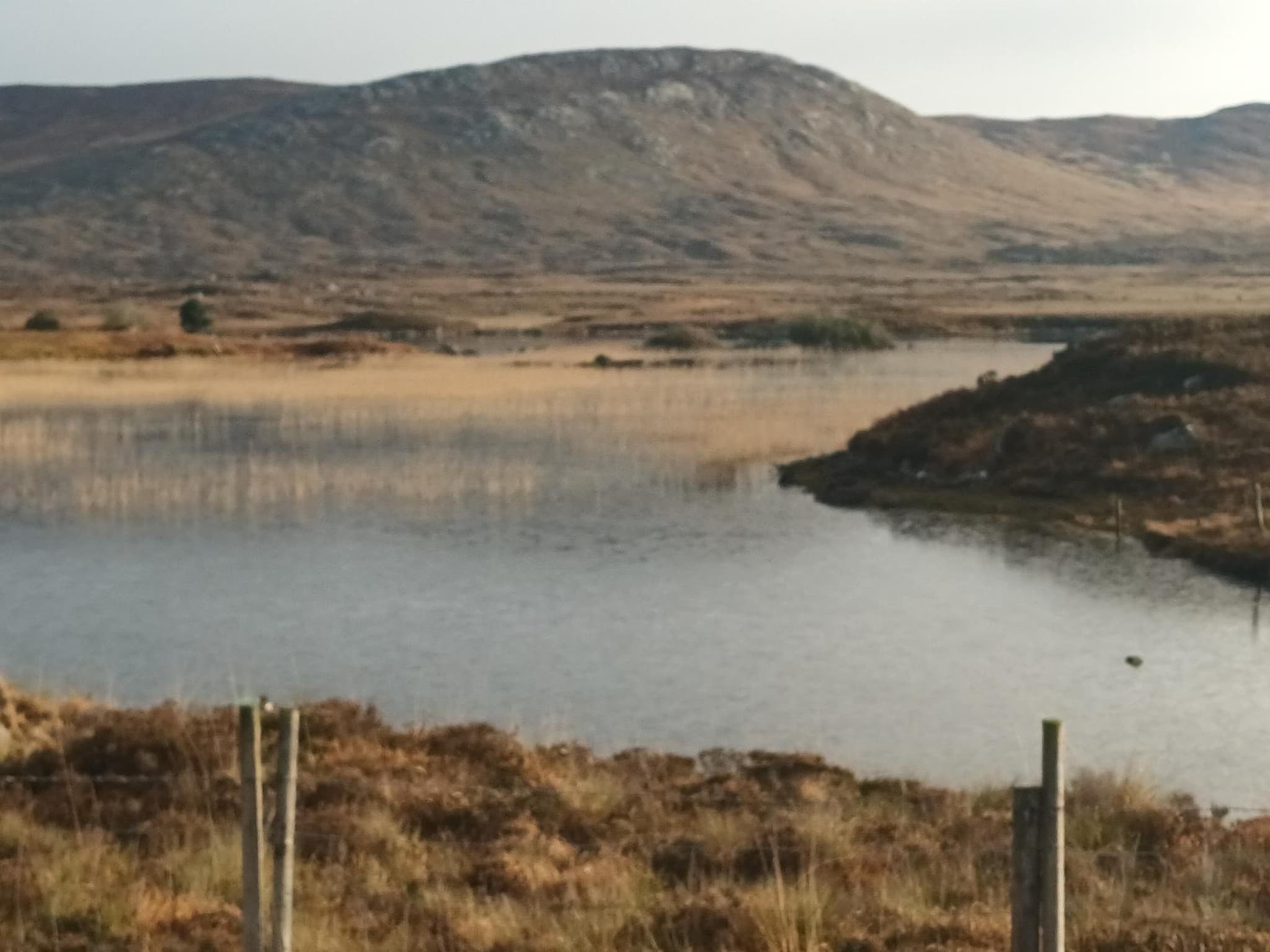 Connemara Lake View Apartment photo 8