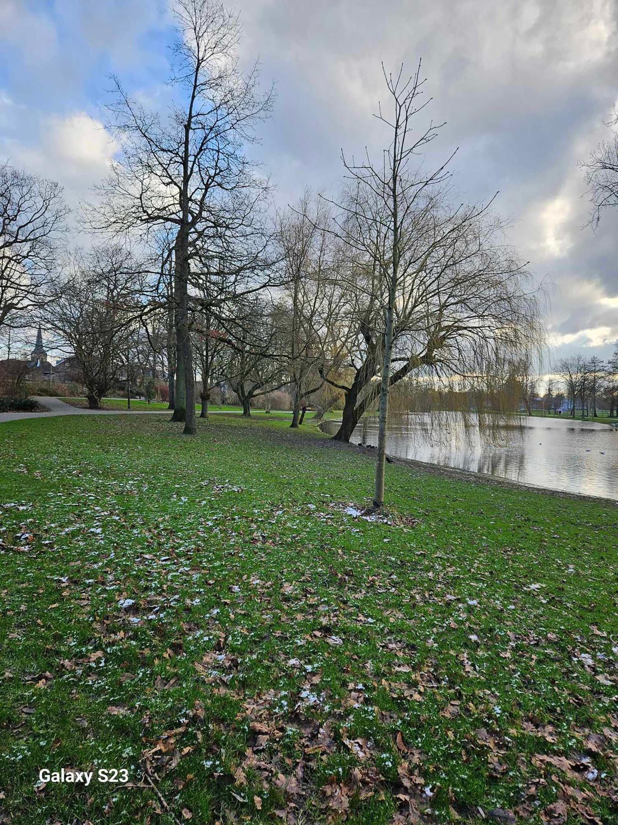 De Stadsboerderij photo 4