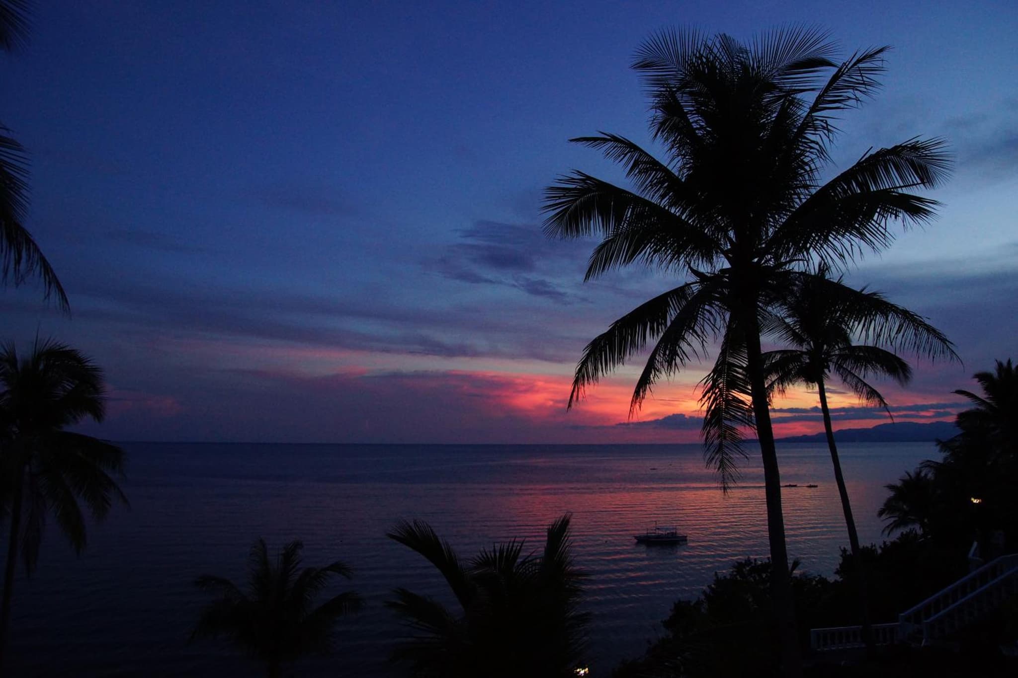 Blue Star Dive and Resort photo 5