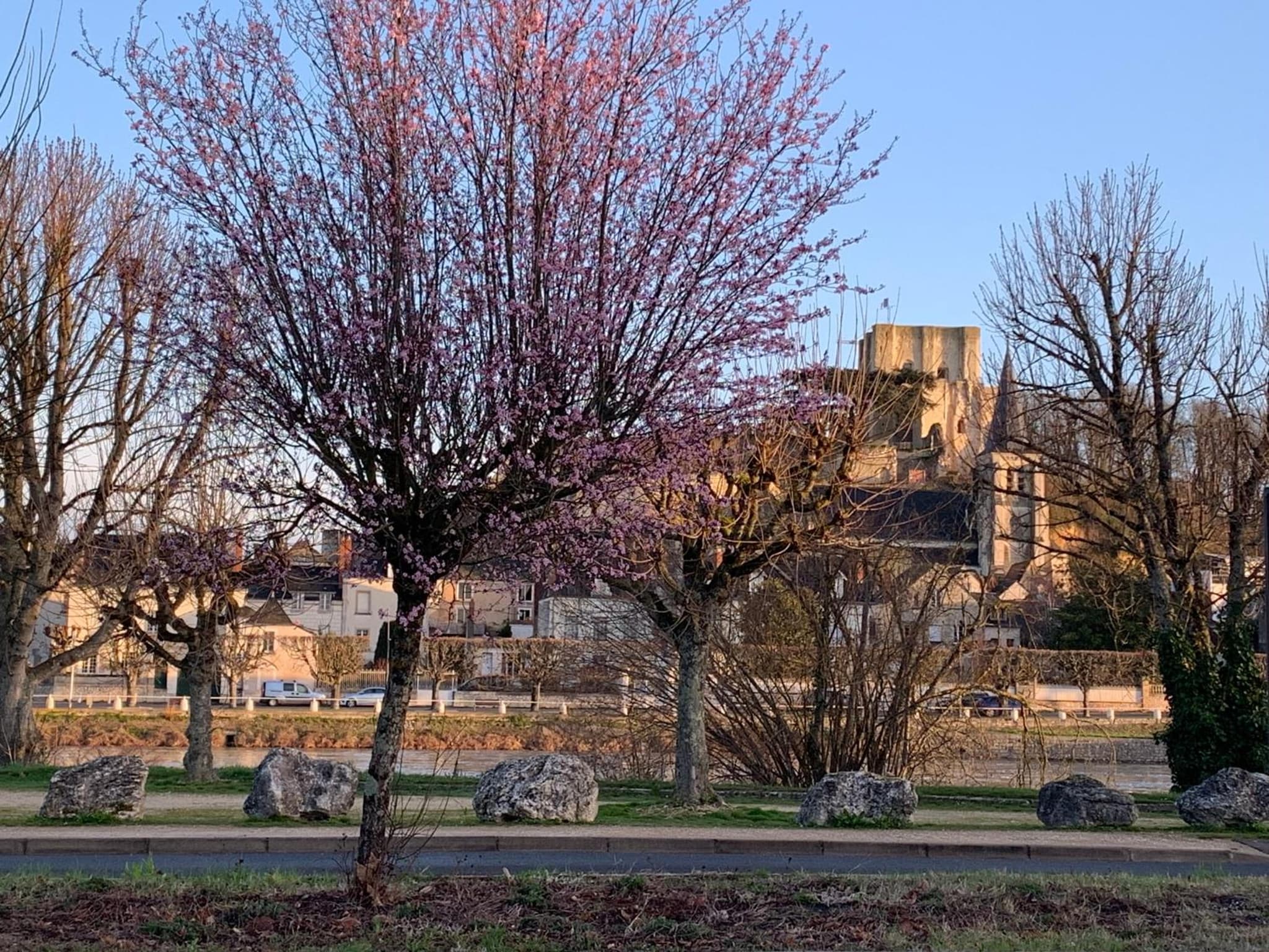 les mésanges photo 9