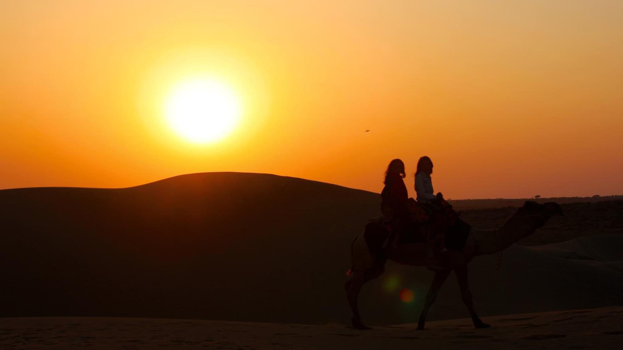 Damodra Desert Camp photo 8