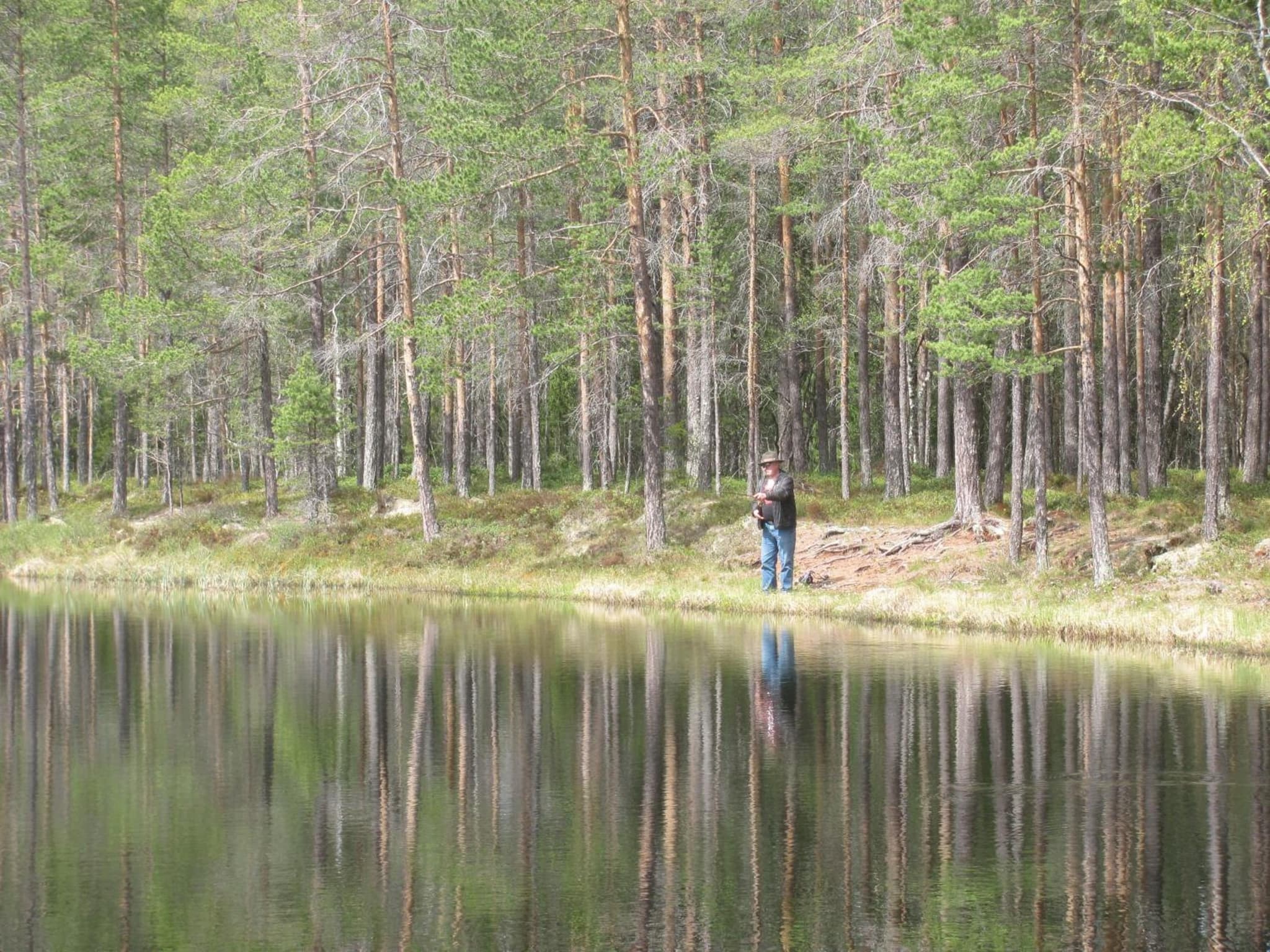 Ellis Gården photo 2