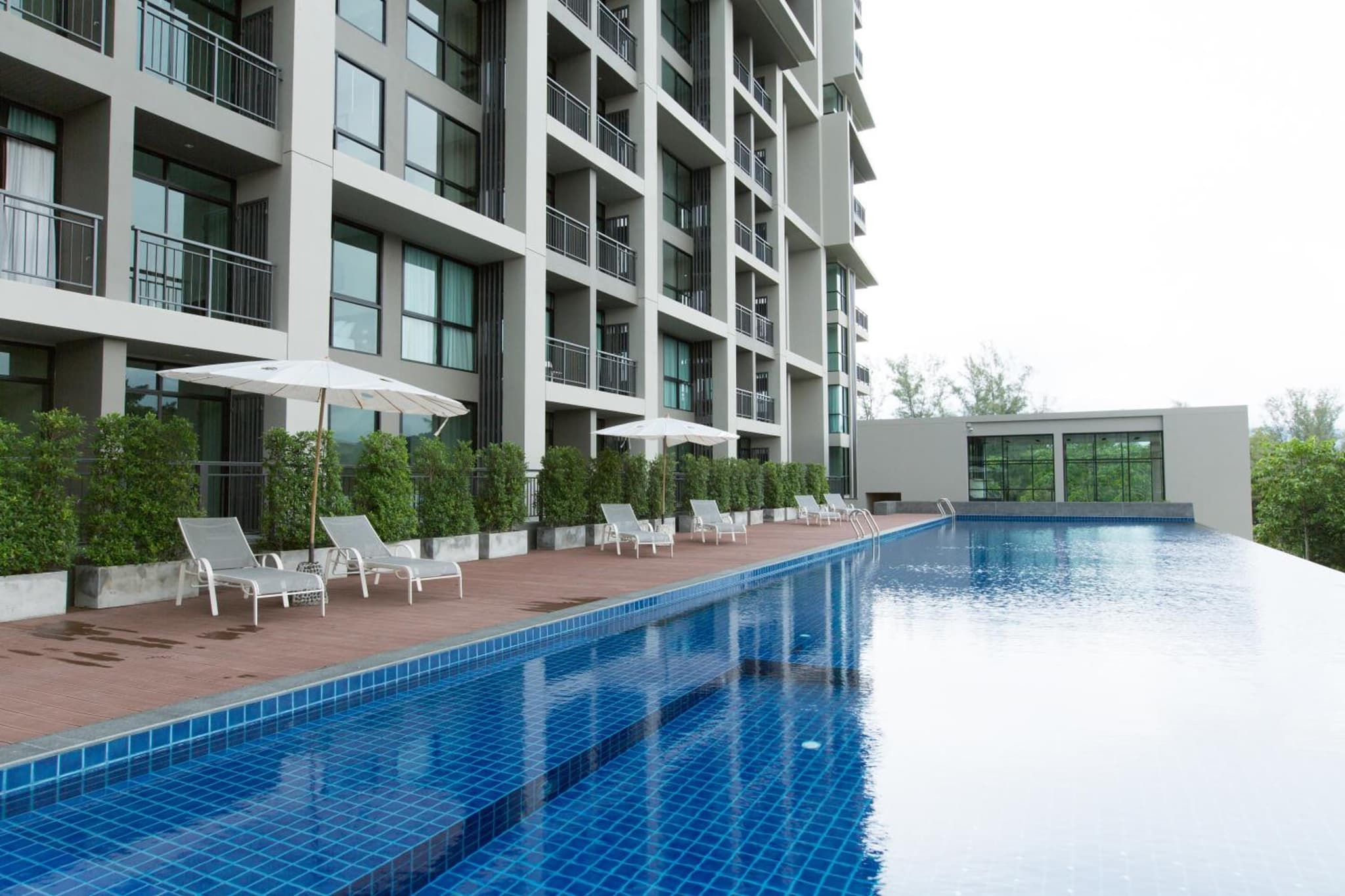 Sugar Palm Residence photo 8