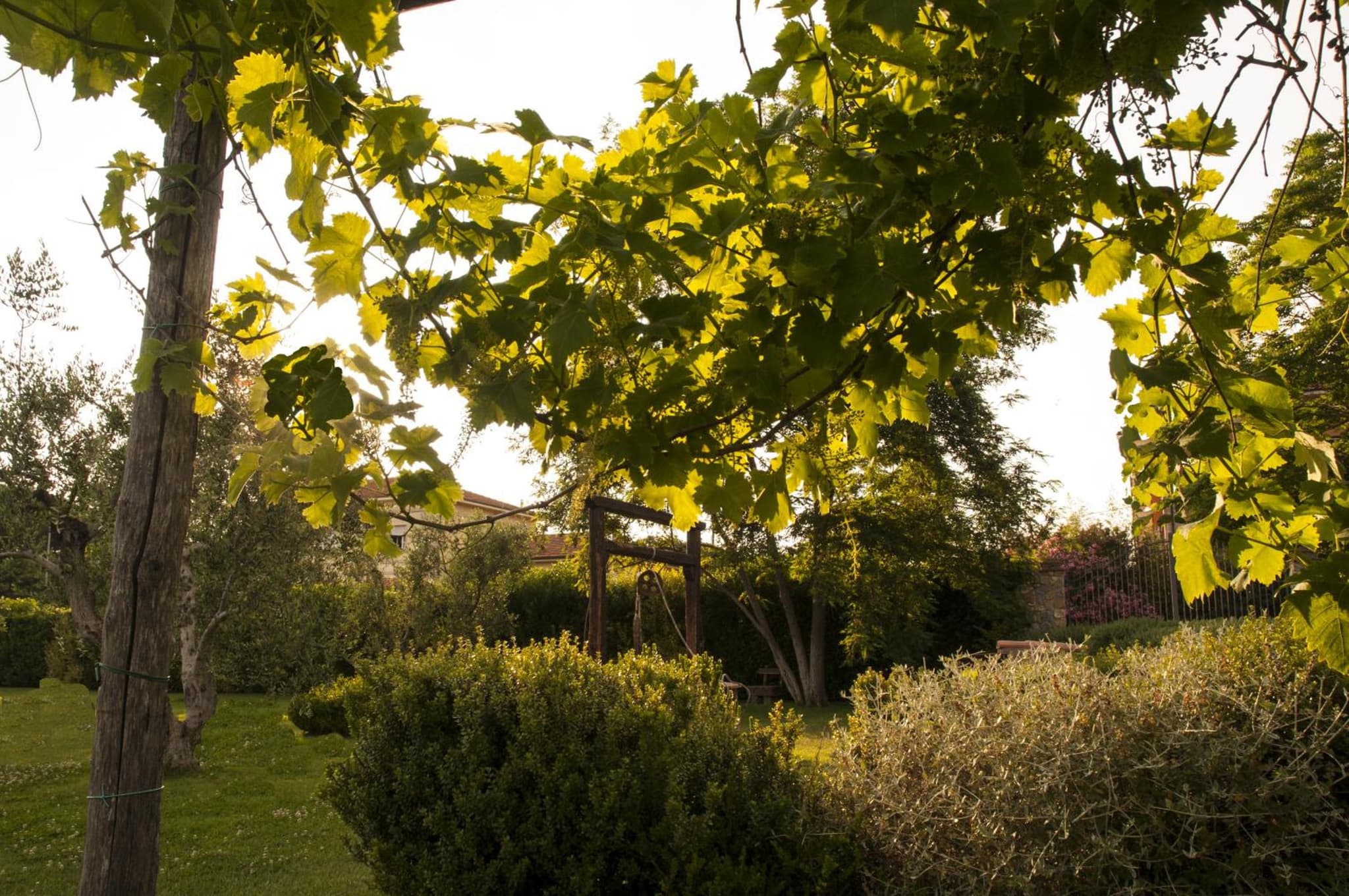 Podere Turicchio photo 6