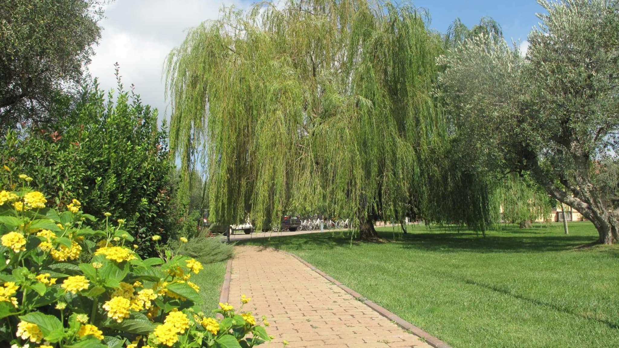 Podere Turicchio photo 8