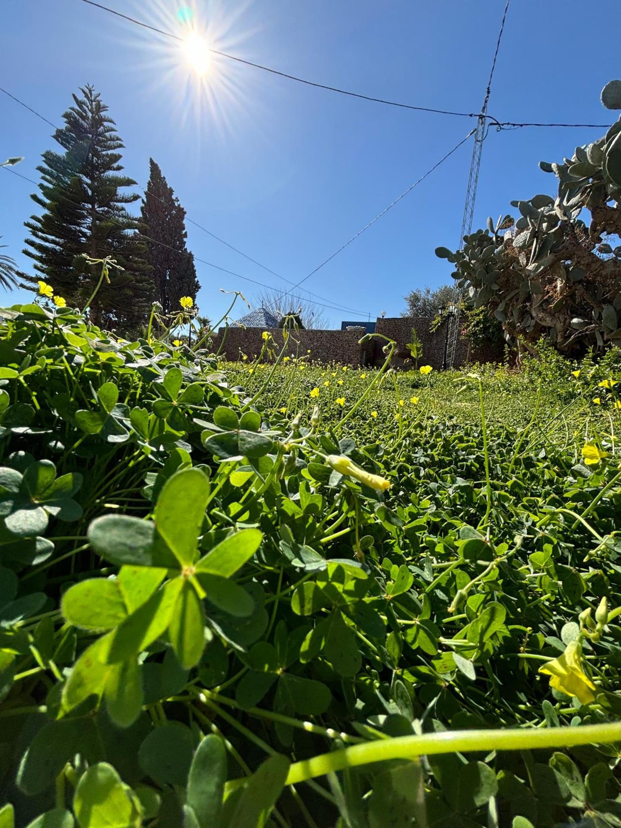 Dar louzir à Tazarka photo 5