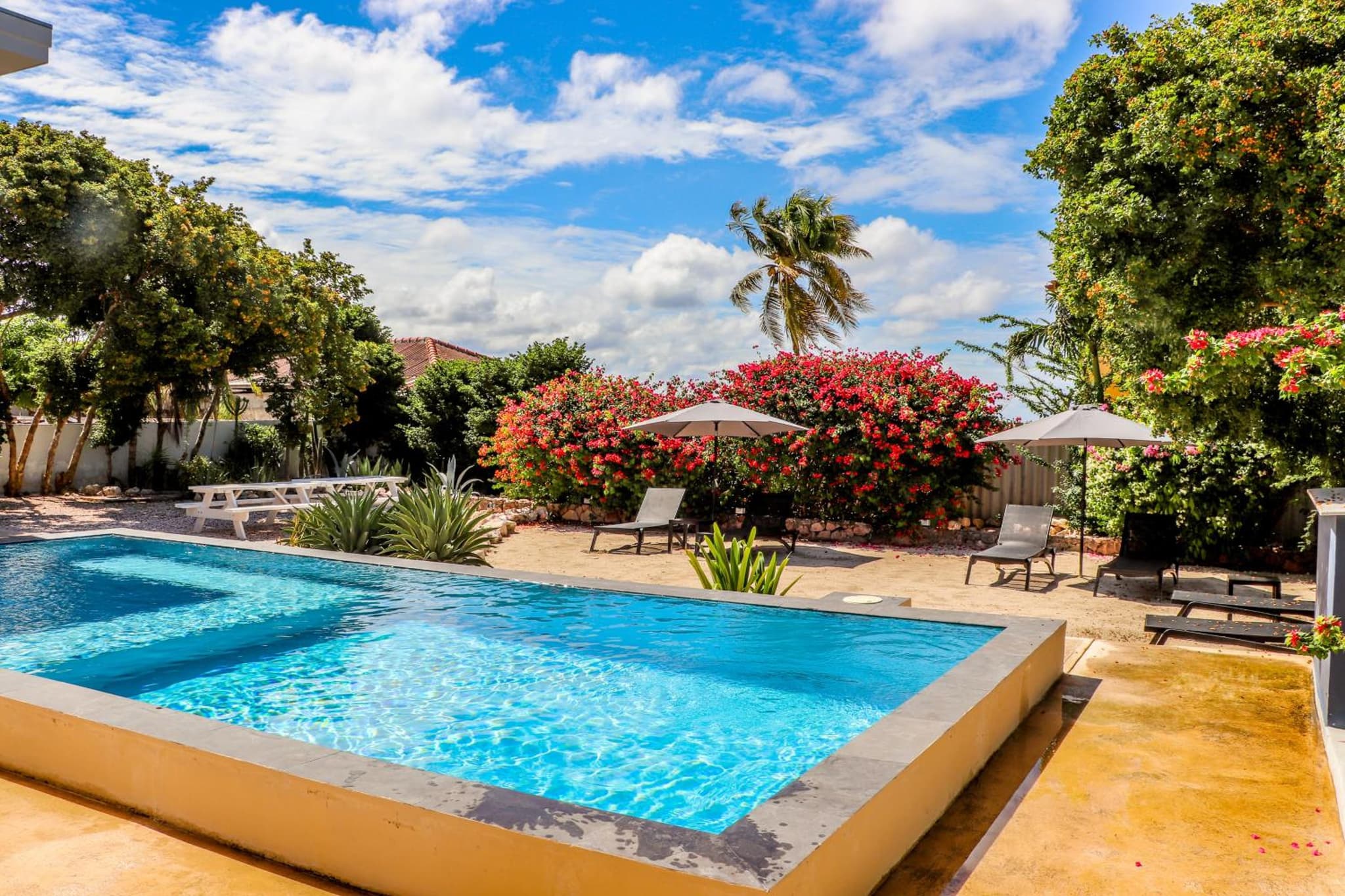The Blue Ocean Villa / Curaçao photo 4