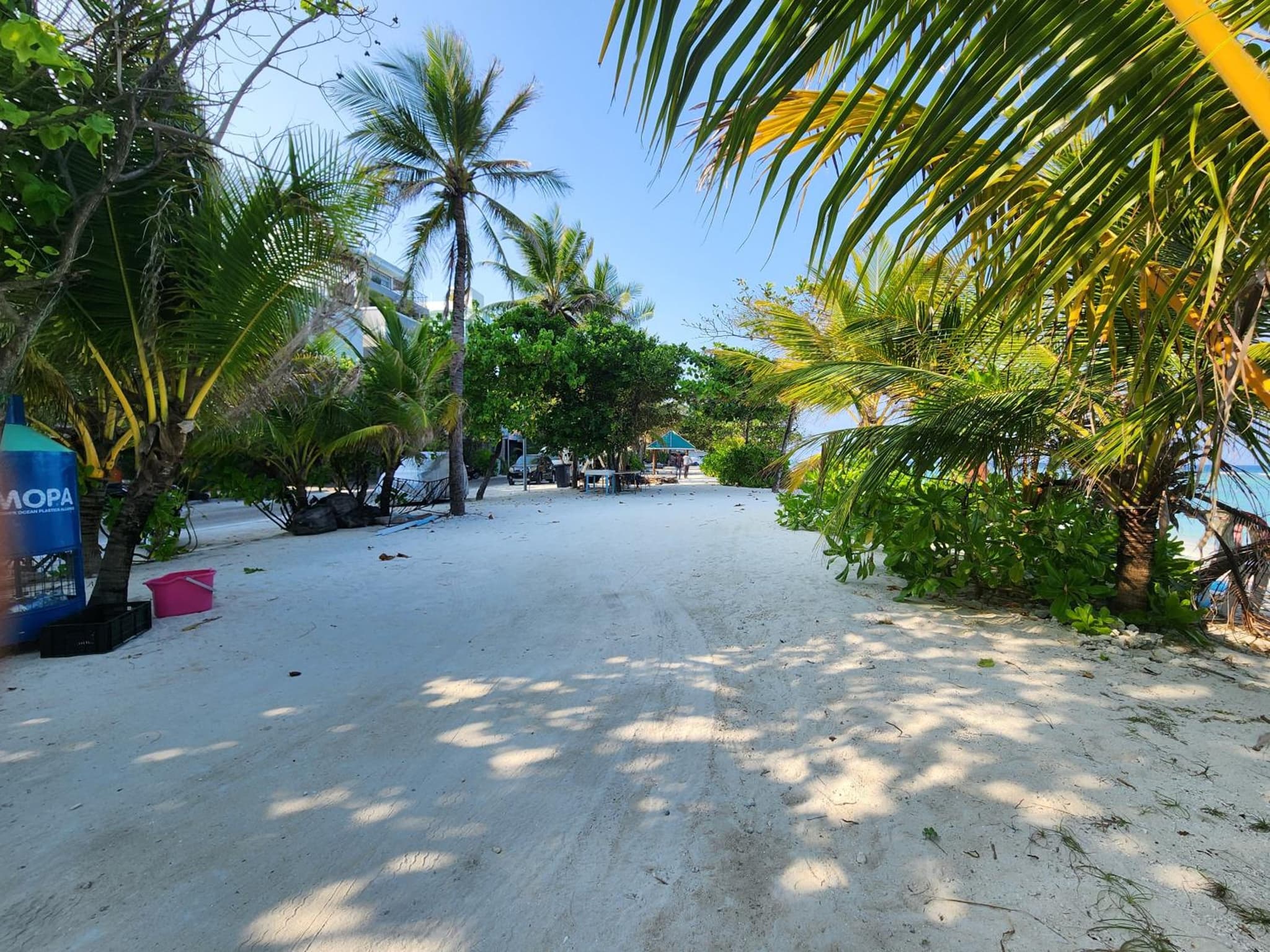 The Hive Beach photo 2