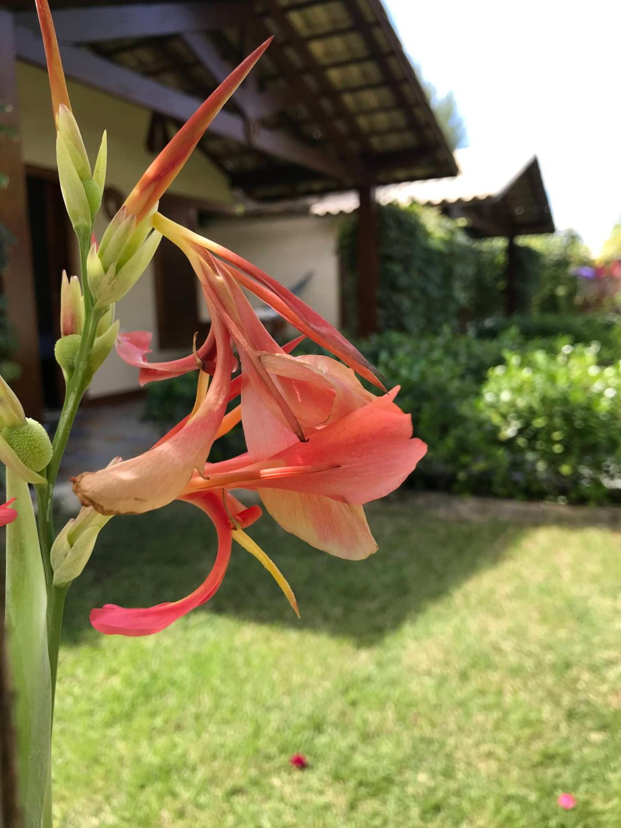 POUSADA RANCHO PARAISO photo 4