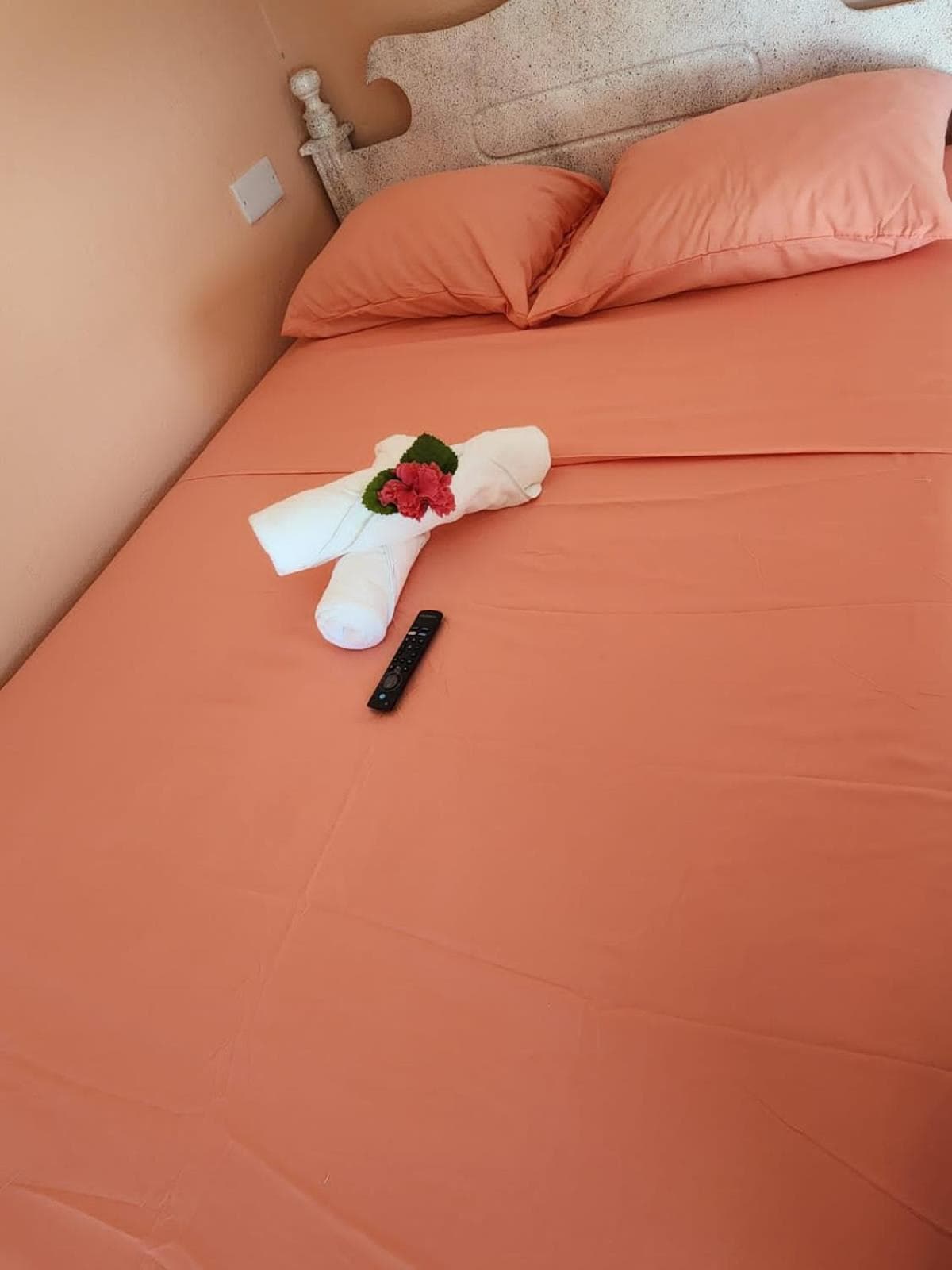 Rose Hideaway photo 7