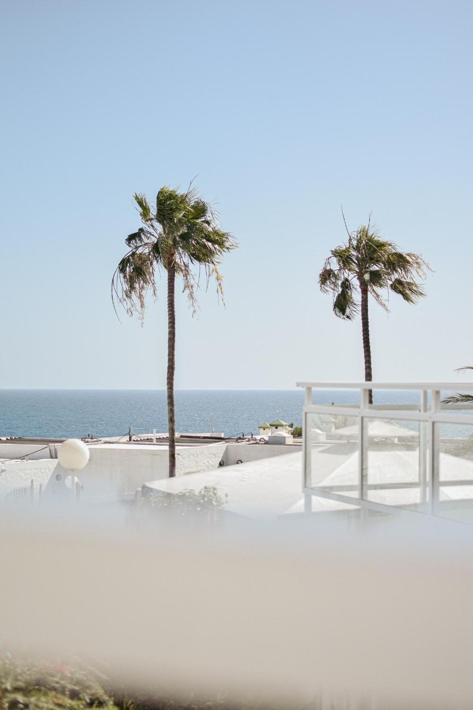 Acapulco Ocean View photo 7