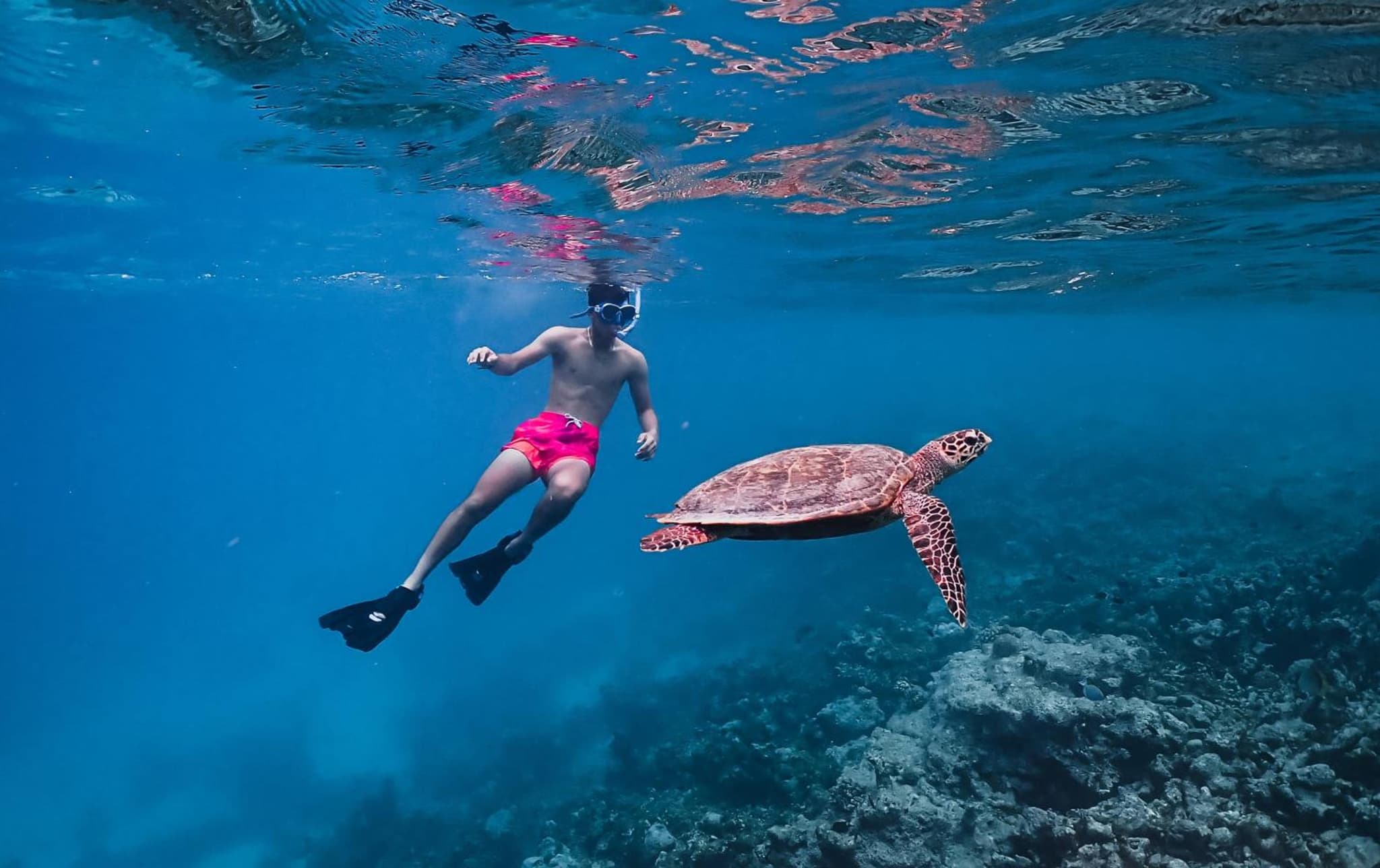 Meeru Maldives Resort Island photo 5