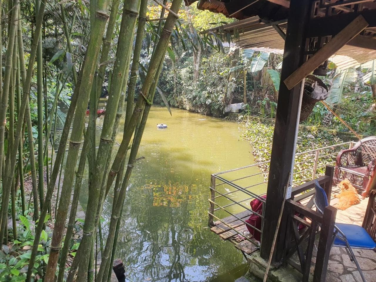 Sapa Garden Bungalow photo 6