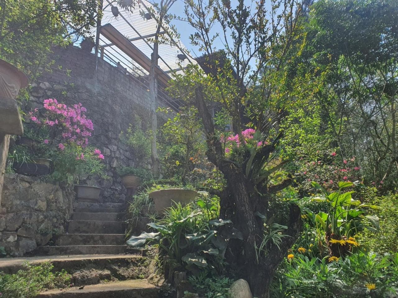 Sapa Garden Bungalow photo 4