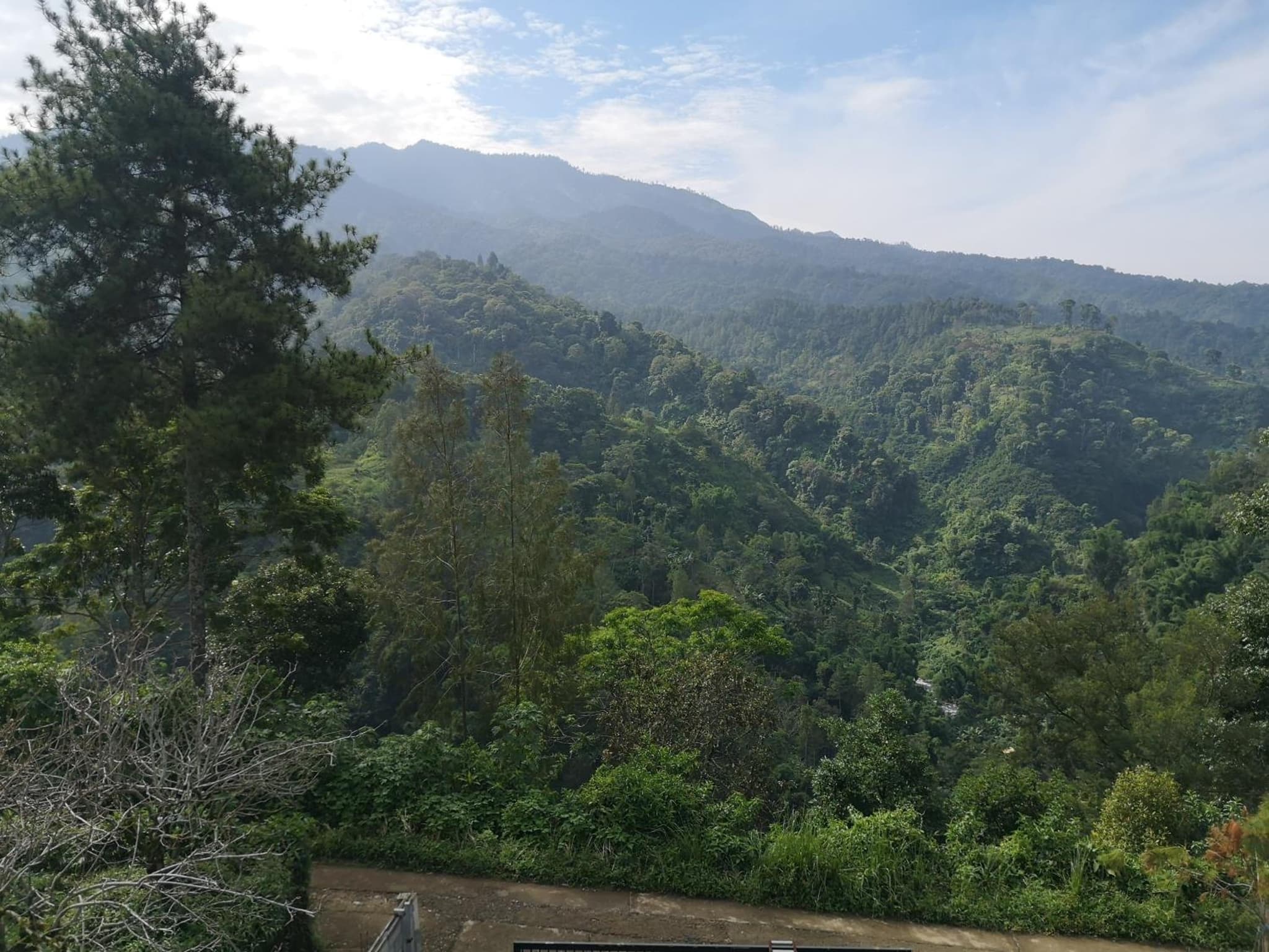Maison Manendra - Bromo photo 2