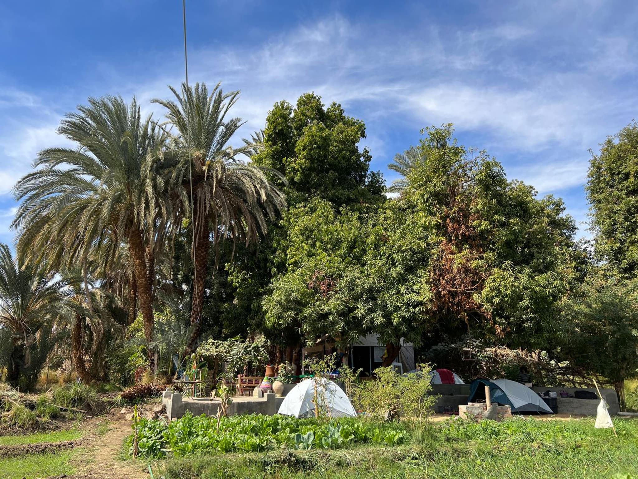 Salatoos Mango Garden and Guesthouse