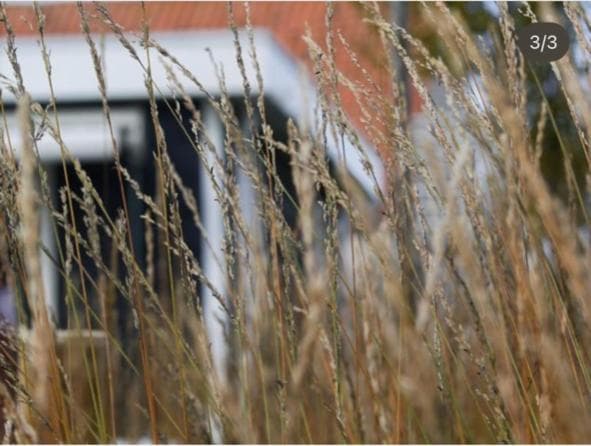 Vakantiewoning de Schelp photo 6