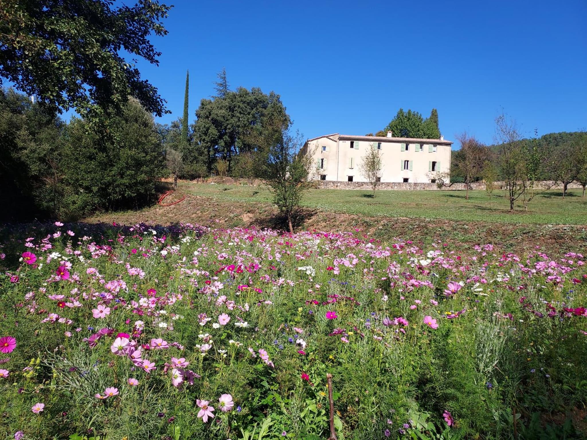 Les Jardins de Falguière photo 9
