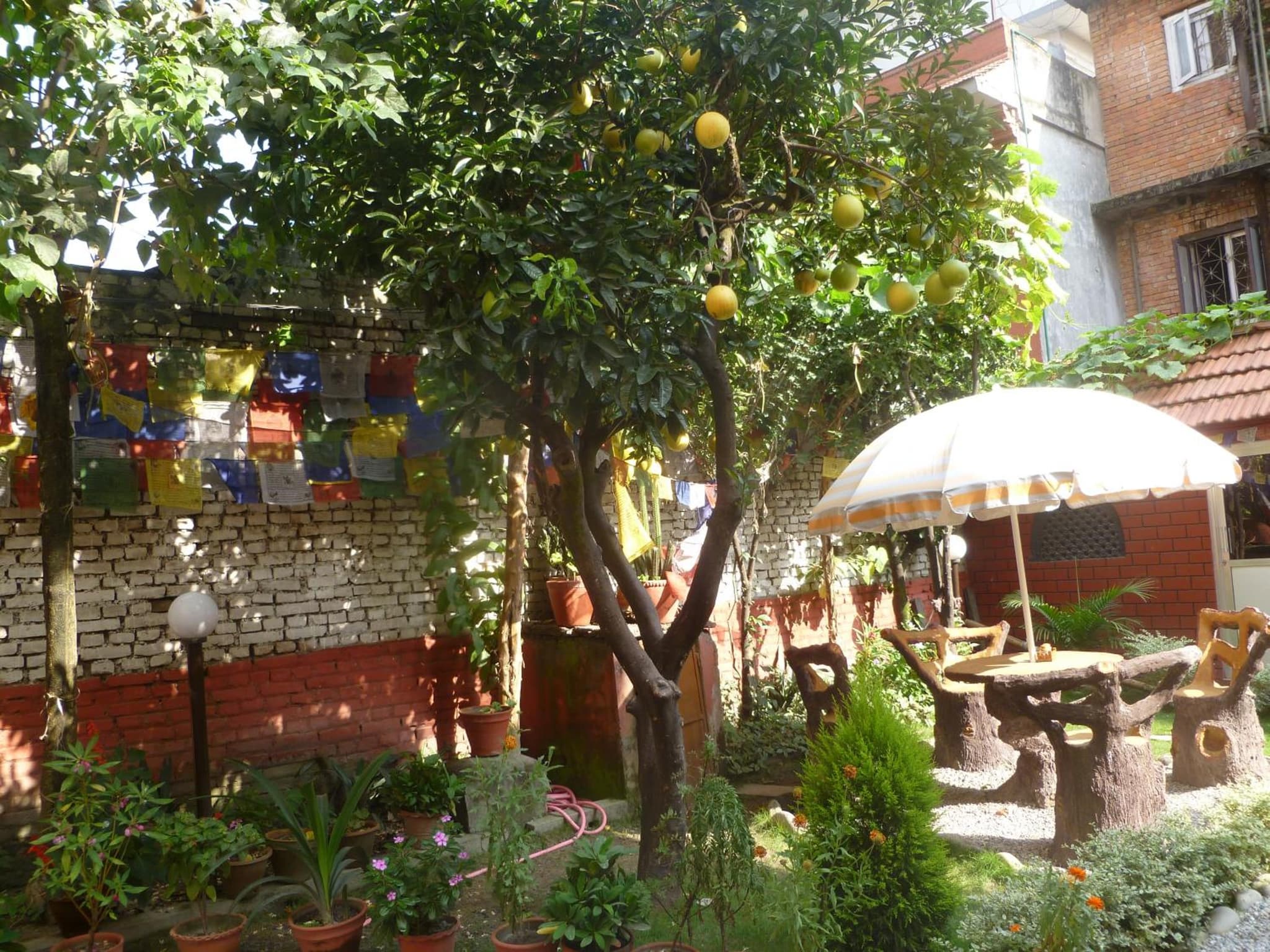 Andes House photo 3