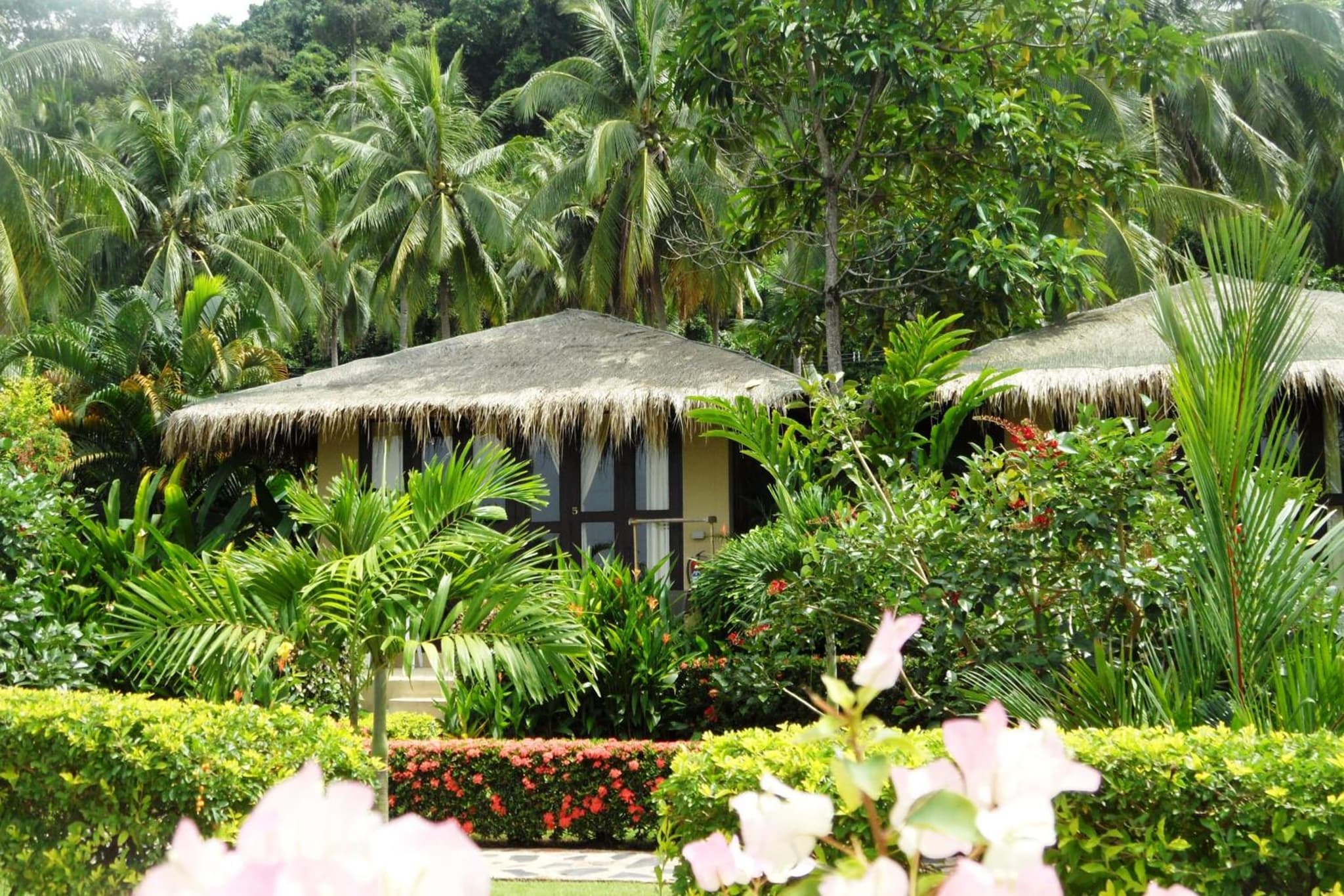 Amber Sands Beach Resort photo 7