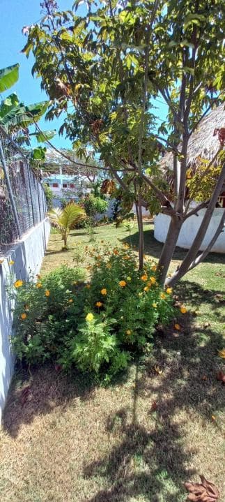 Casa ARCOIRIS photo 7