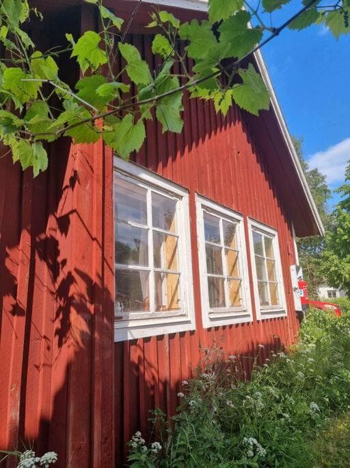 Bo på lantgård photo 2