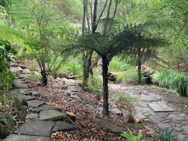 Private Guest Wing - Durie Vale Lodge photo 3