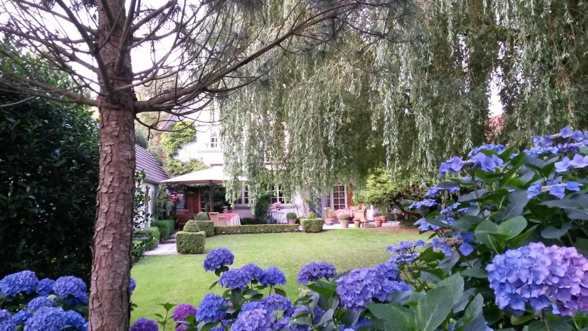 B&B Willow Lodge photo 4