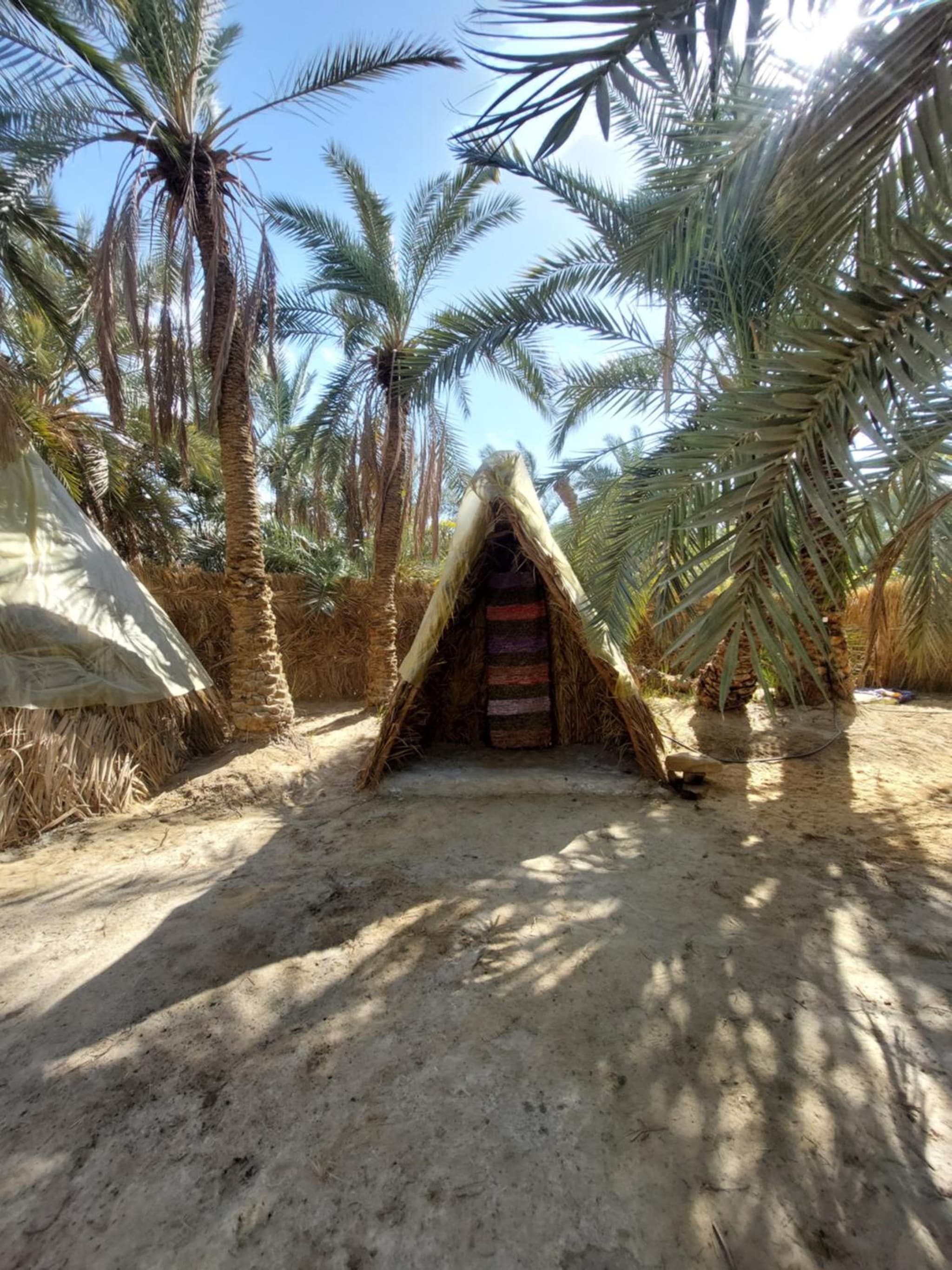 Forest Camp Siwa - كامب الغابة photo 5