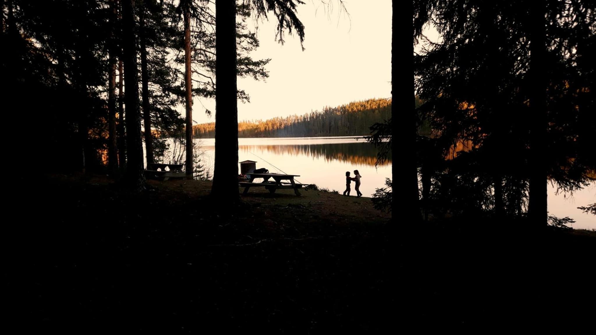 Cozy Stuga - Mountain View photo 7