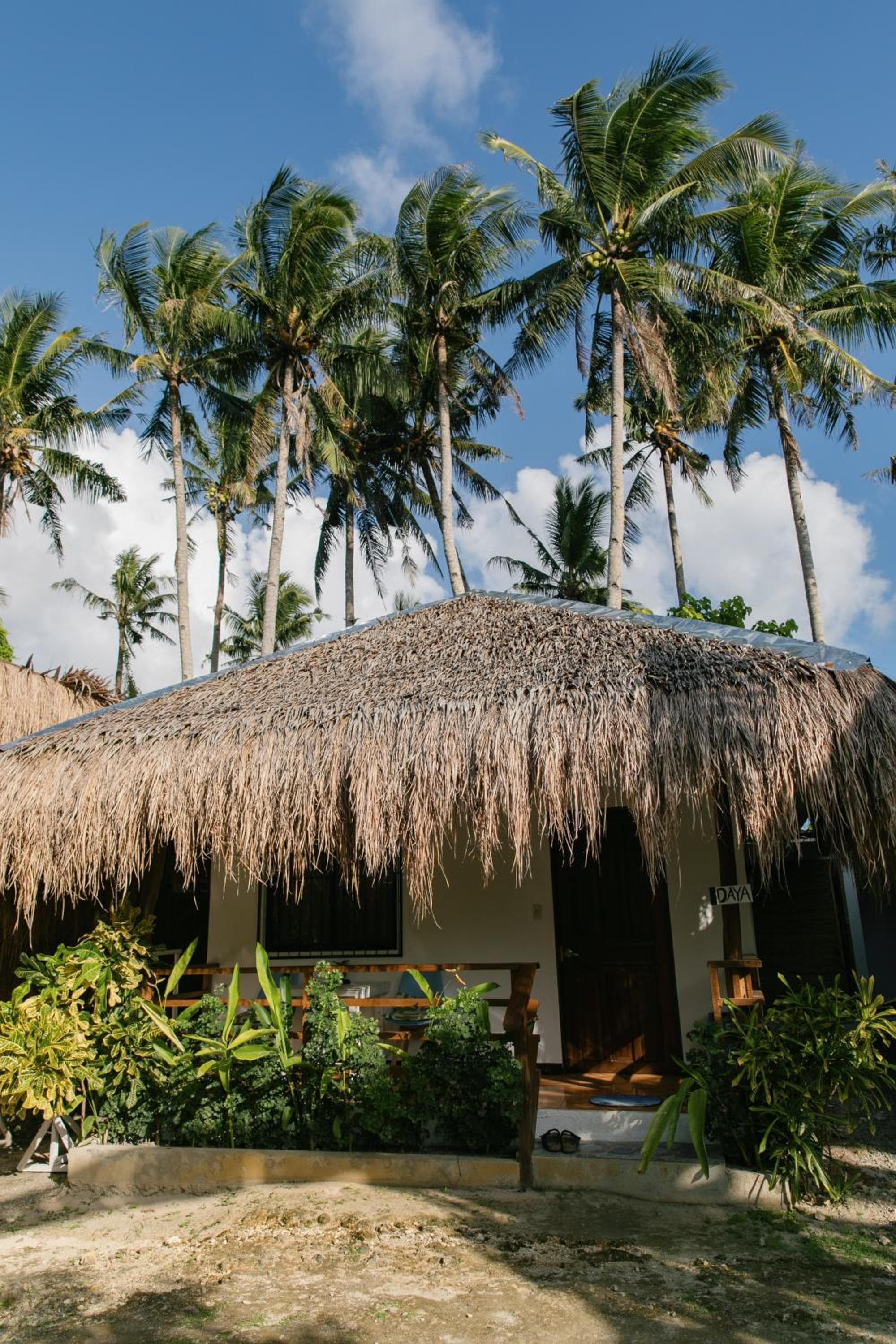 Ozen Freediving Hostel photo 5