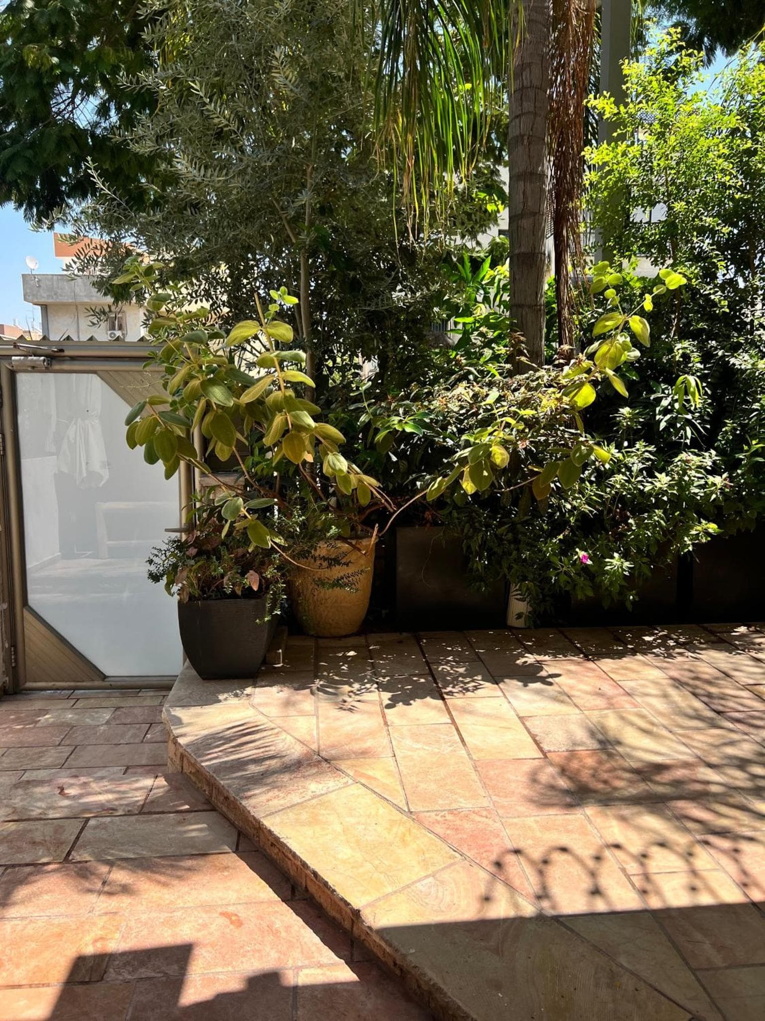 Saloniky Garden photo 5