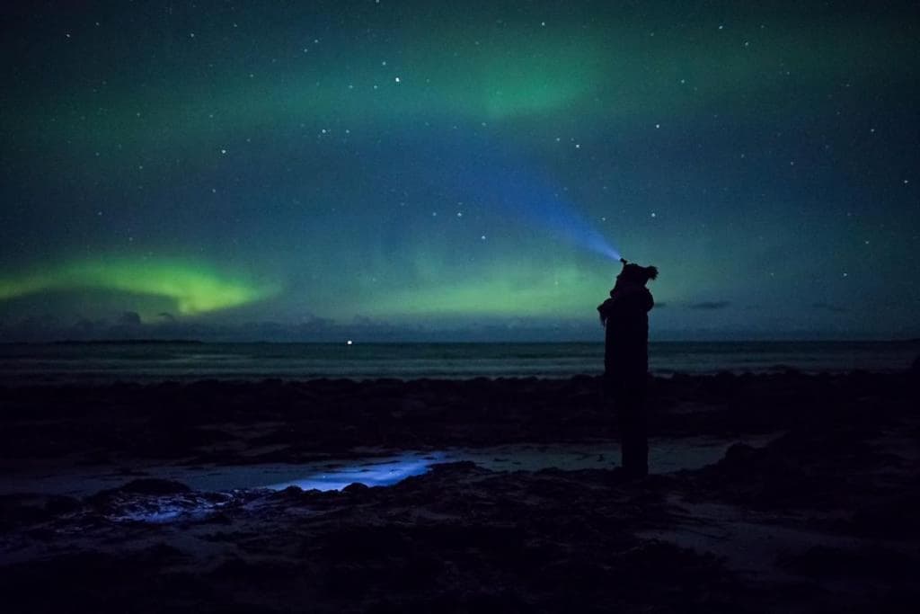 Ett roms leilighet Vestvågøy photo 6