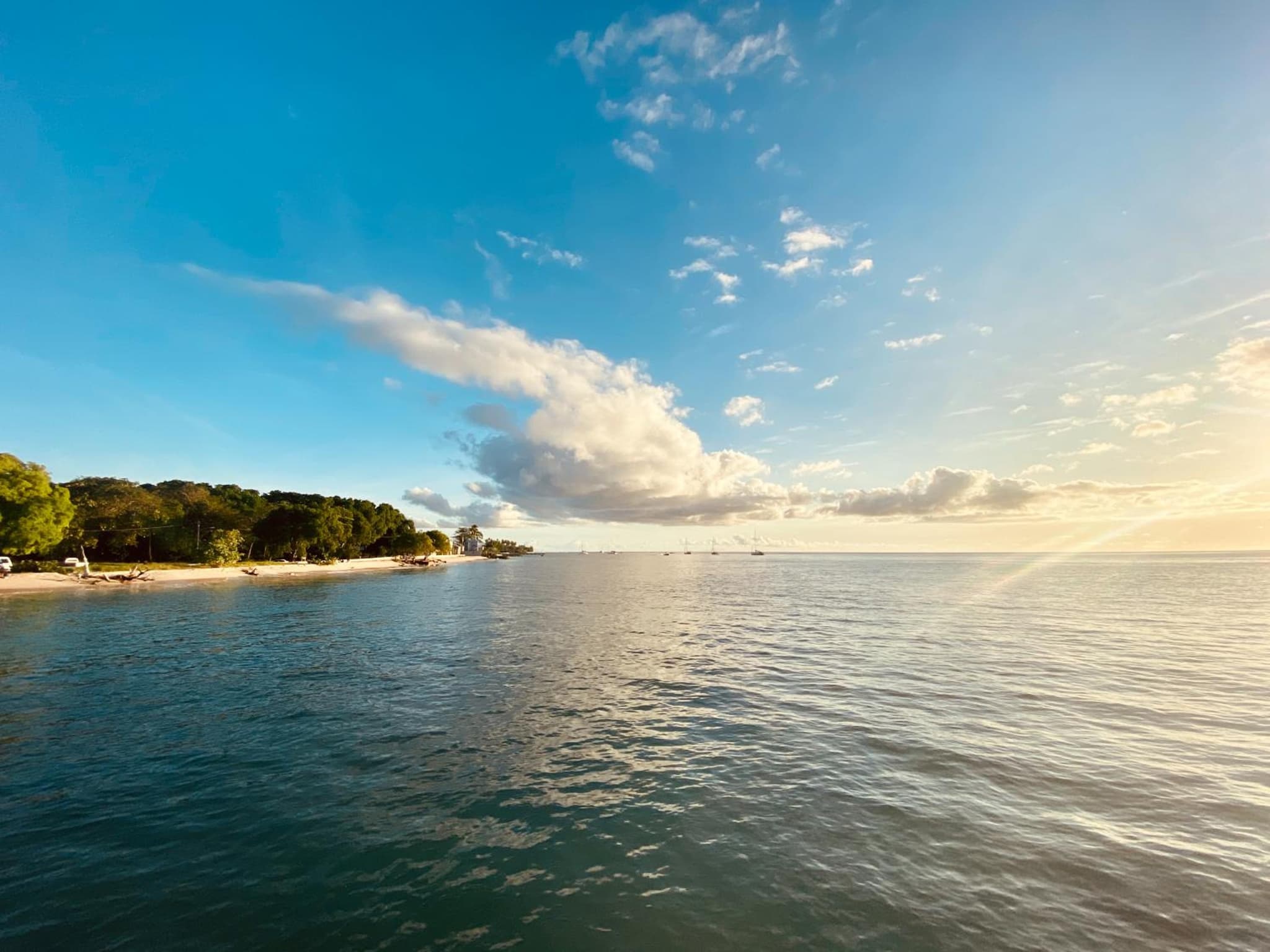 Tropical Escape photo 2